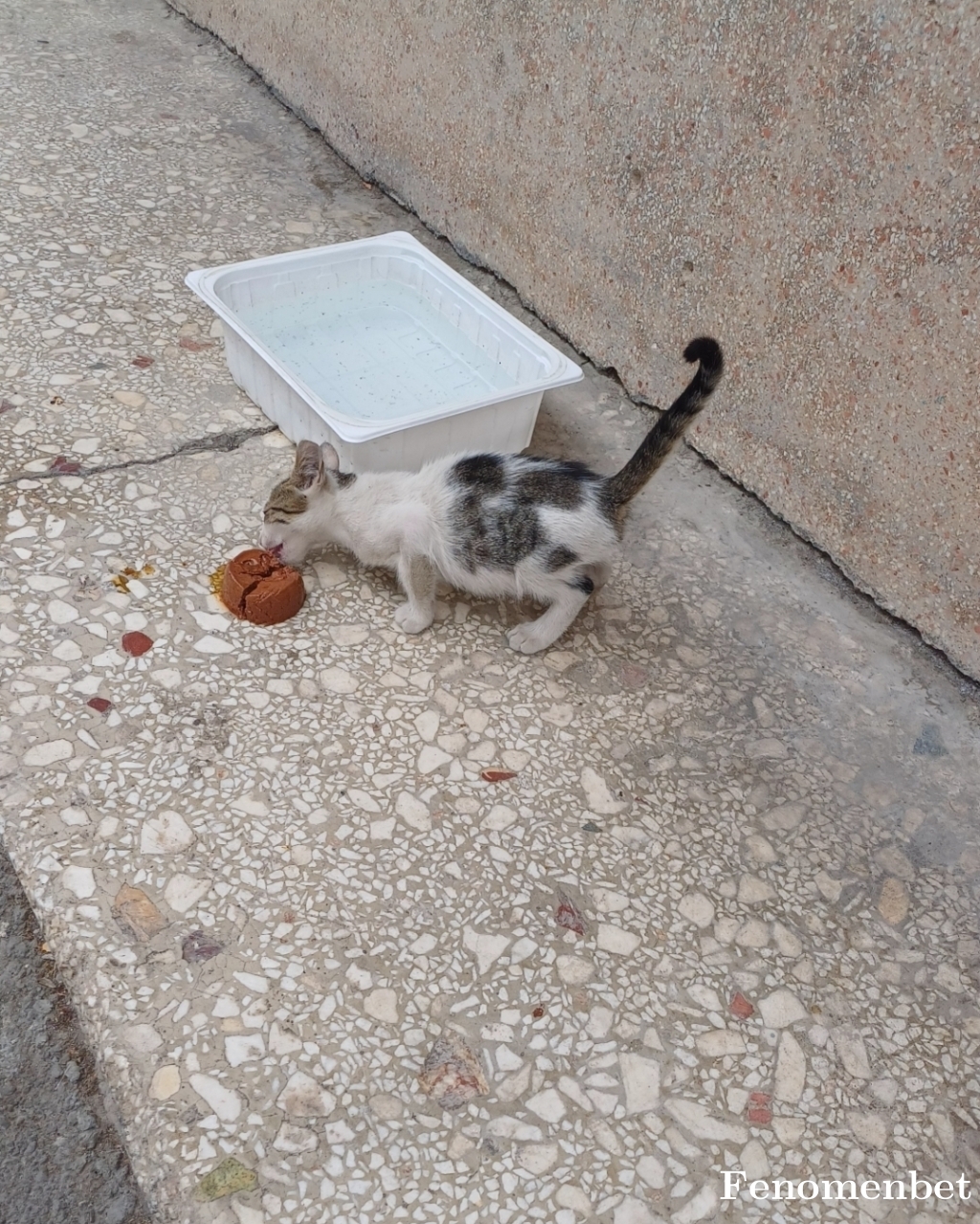 sergender19 tarafından paylaşıldı