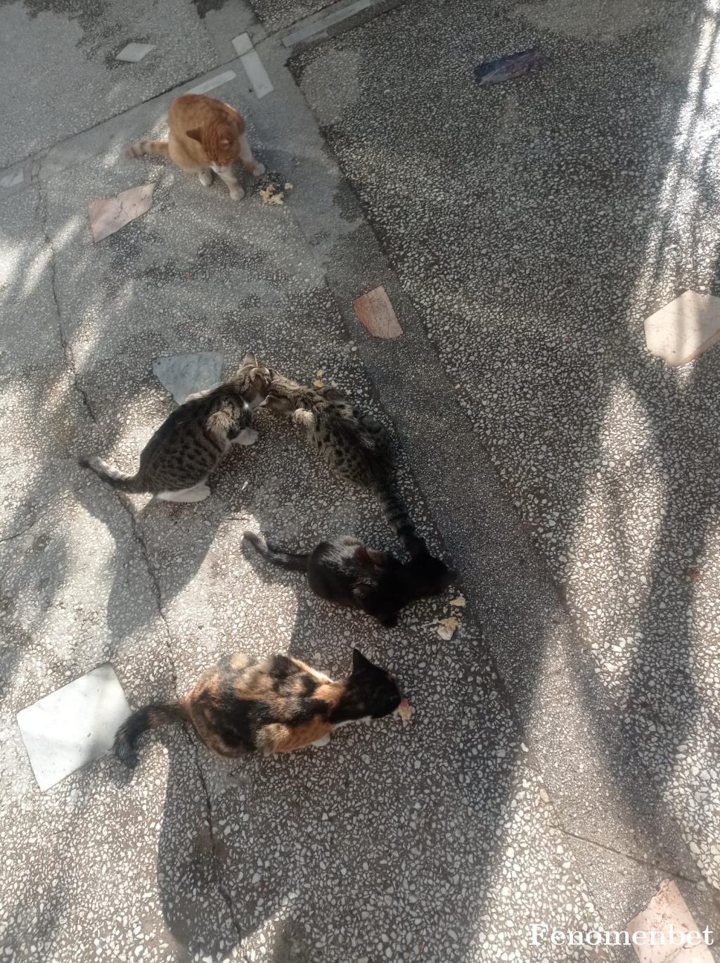 ozlmm22 tarafından paylaşıldı