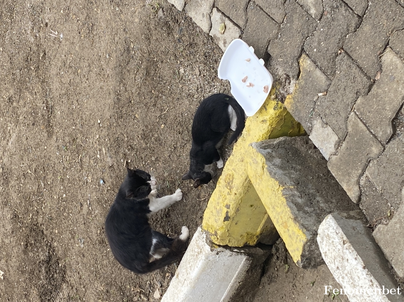 Oflu6161 tarafından paylaşıldı