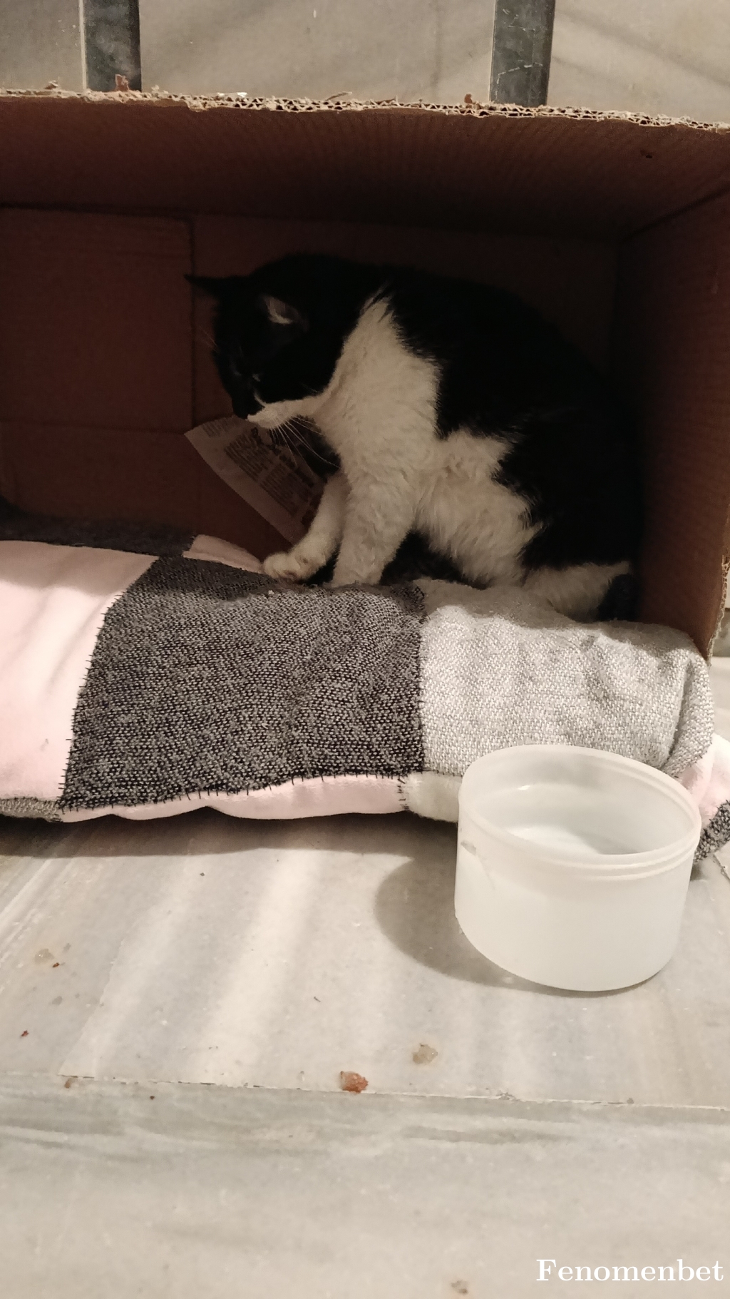 berke63 tarafından paylaşıldı