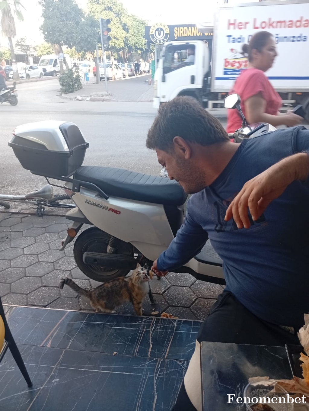 Mekiz001 tarafından paylaşıldı