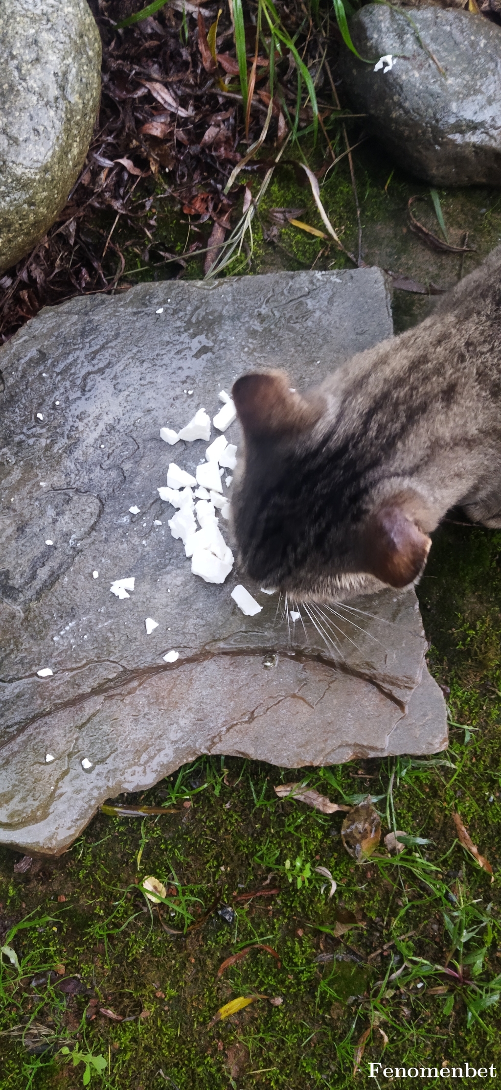 Trgyarsln88 tarafından paylaşıldı