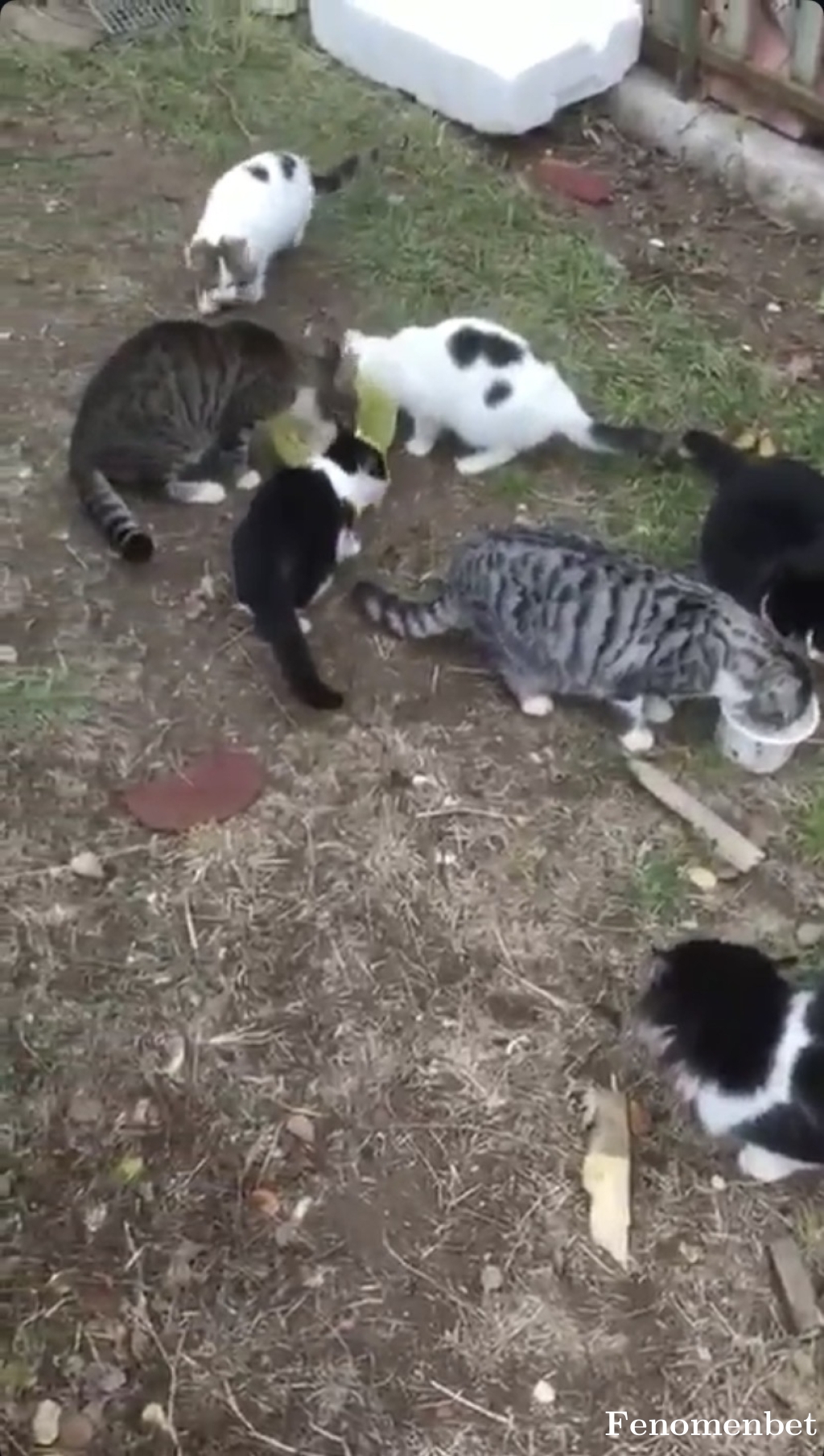 orhnbbr tarafından paylaşıldı