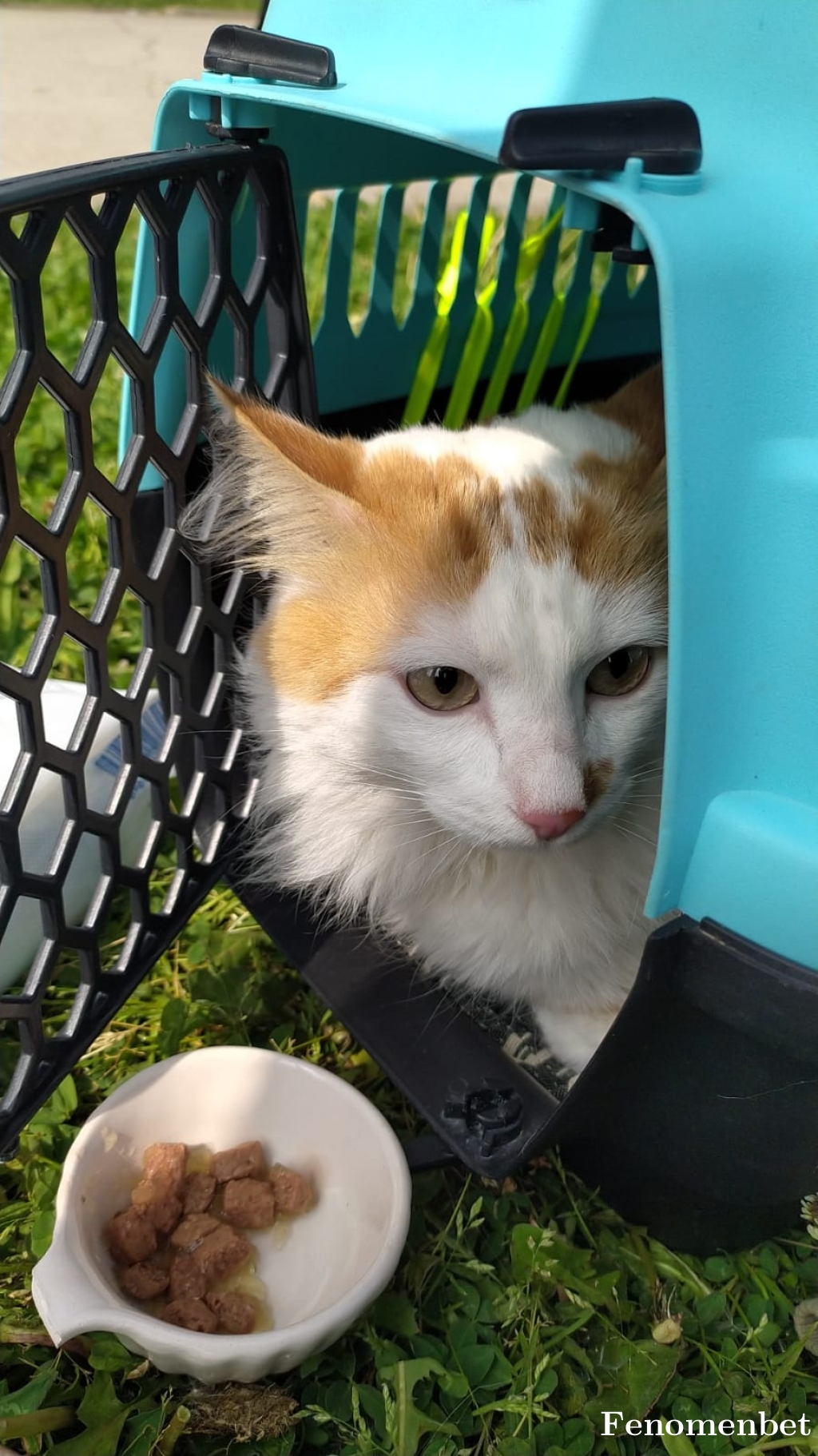 miramis1905 tarafından paylaşıldı