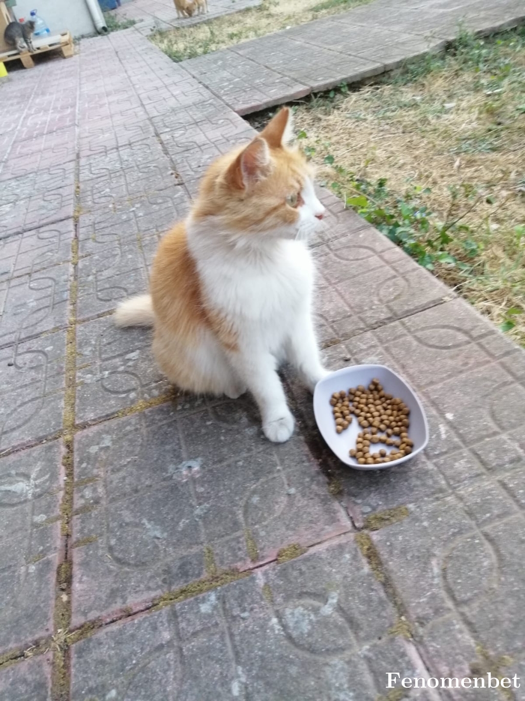 Basak74 tarafından paylaşıldı