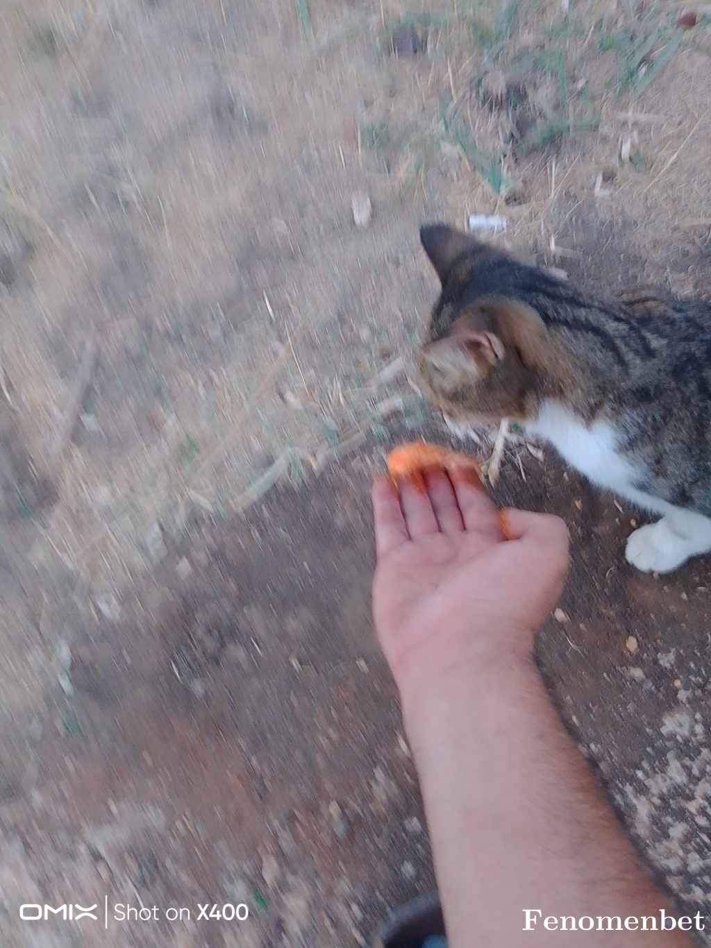 anteplim27000 tarafından paylaşıldı