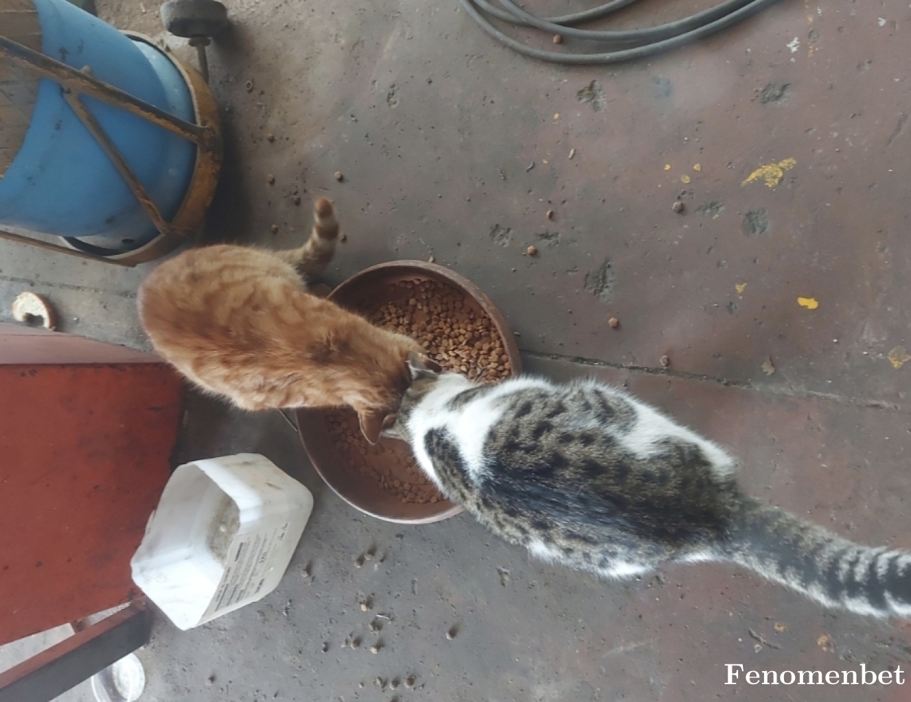 Alex1072 tarafından paylaşıldı