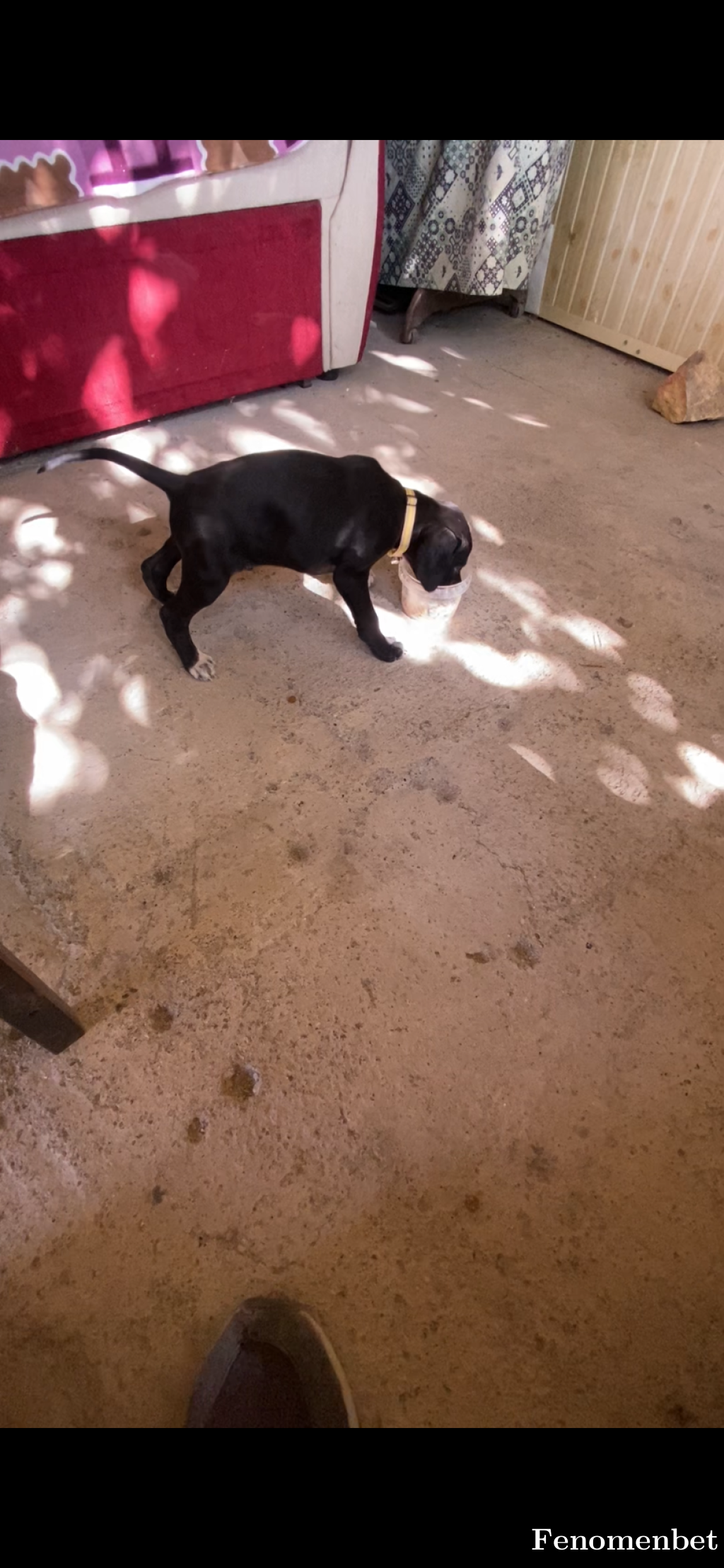 Kerim2021 tarafından paylaşıldı