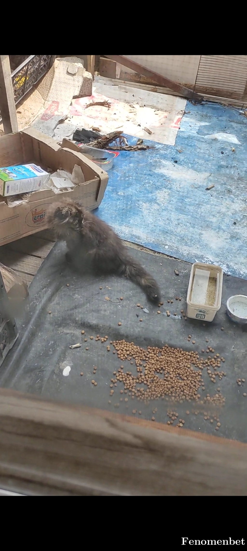 Yasin1990 tarafından paylaşıldı