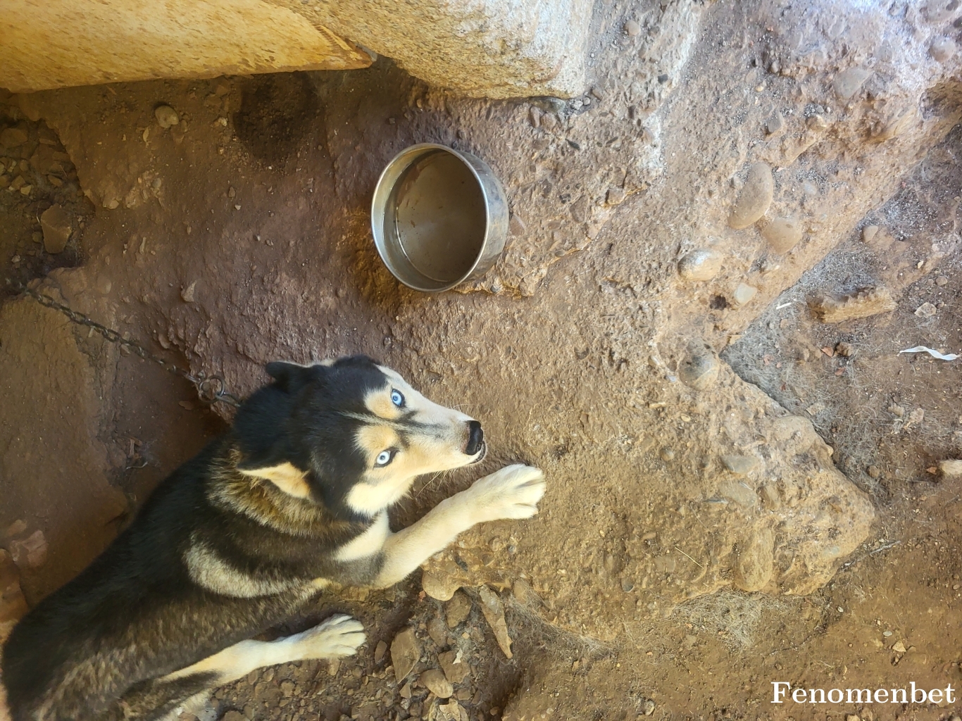 Nuta07 tarafından paylaşıldı