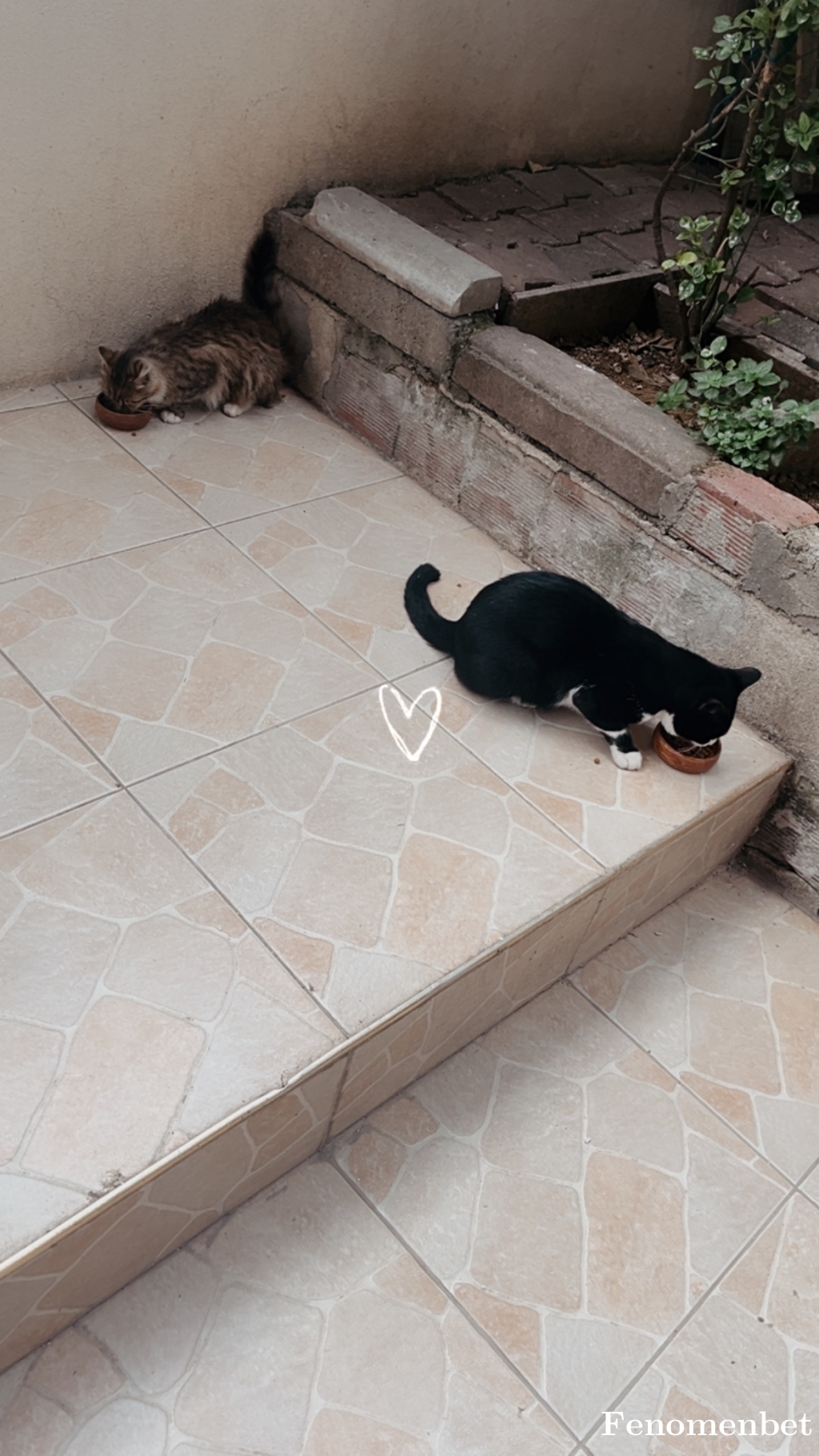 asminblg tarafından paylaşıldı