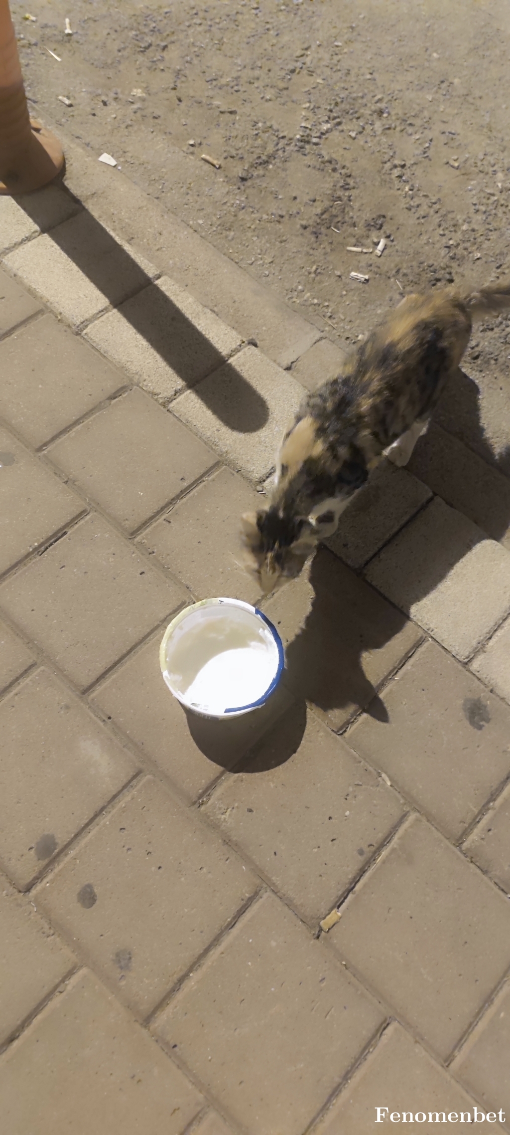 Yusuf_32 tarafından paylaşıldı