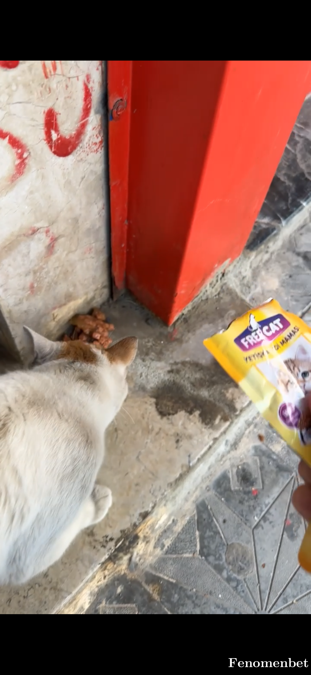 Casper4747 tarafından paylaşıldı