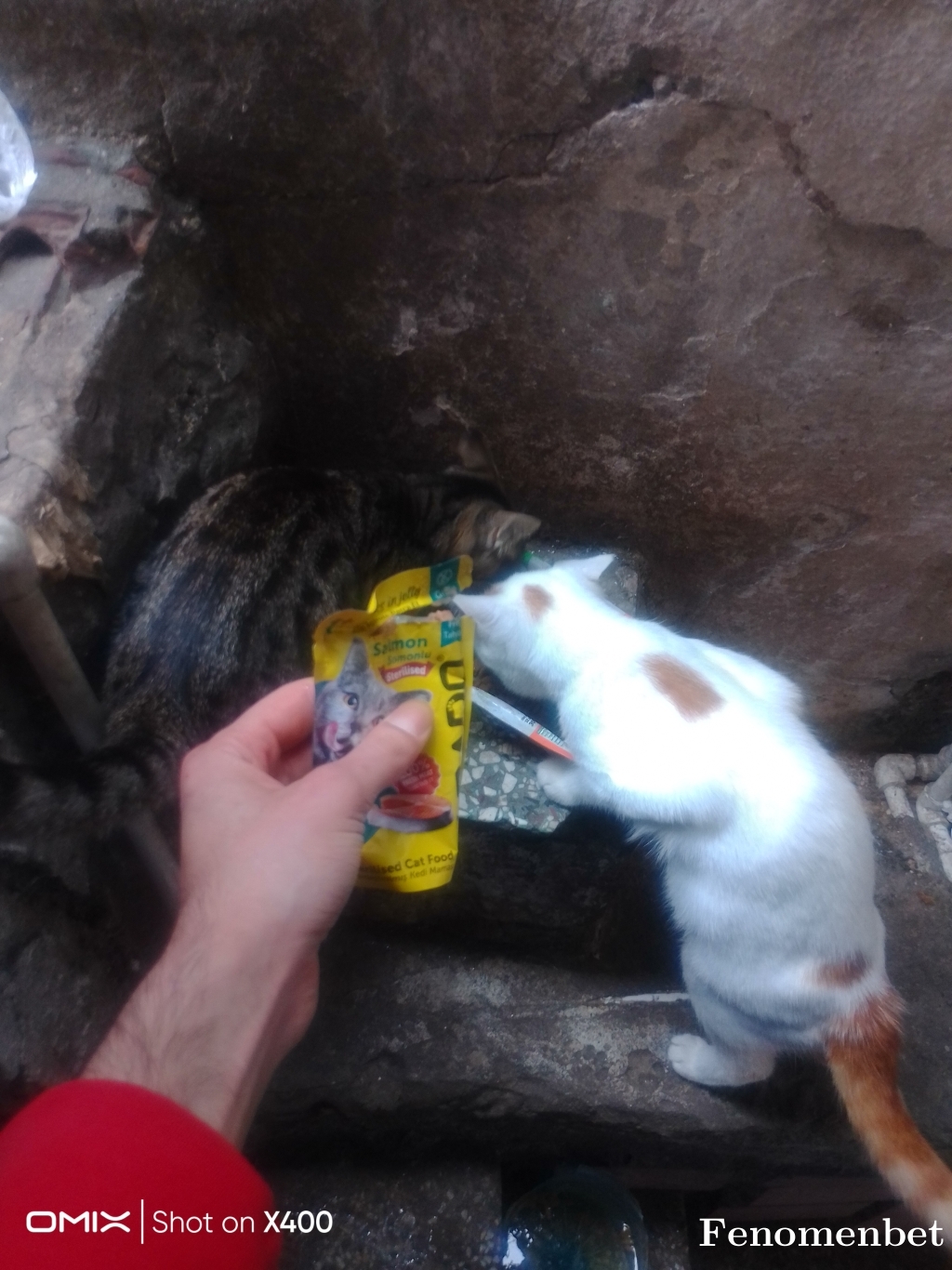 Tekturk61 tarafından paylaşıldı