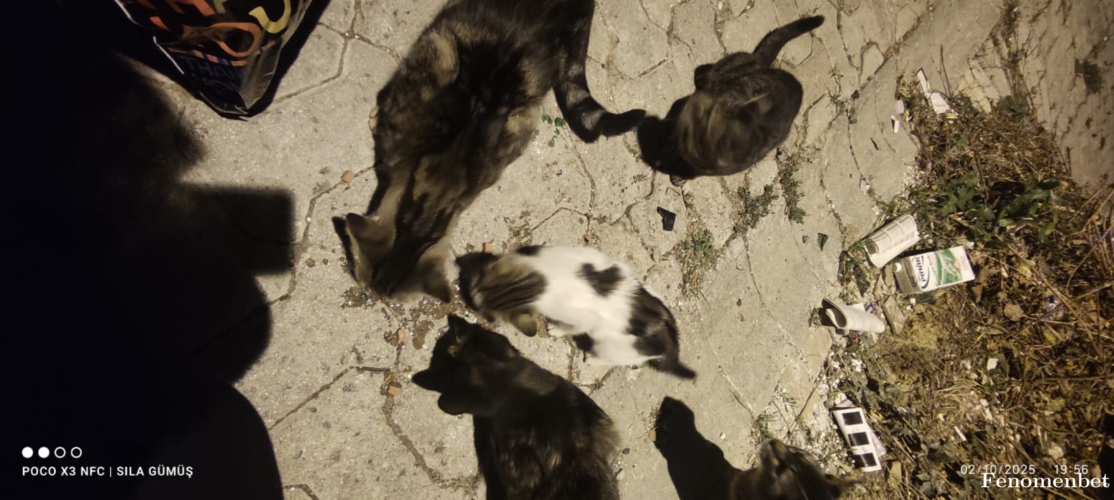emrahgumus tarafından paylaşıldı