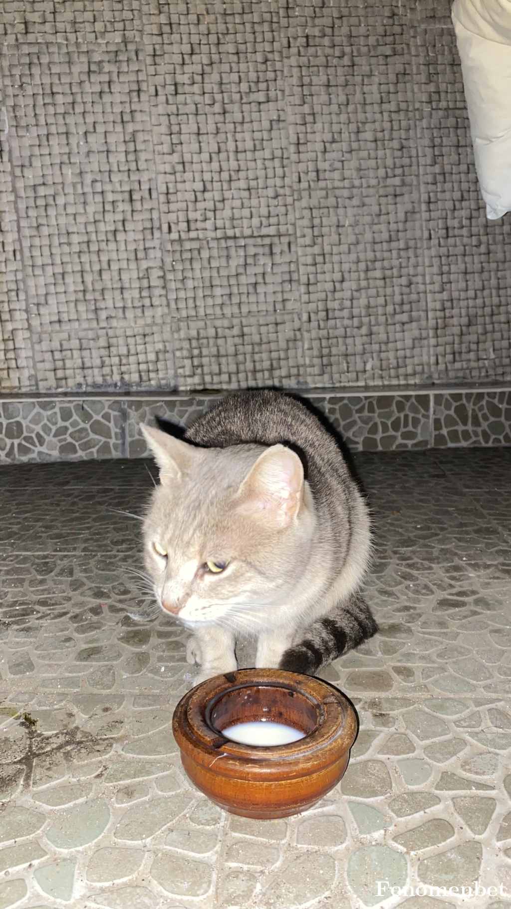 Ceren8803 tarafından paylaşıldı