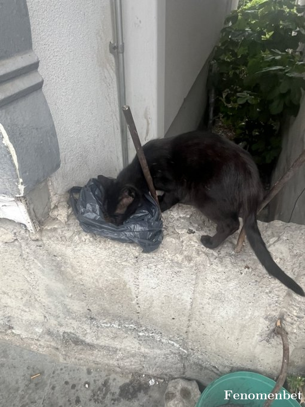 mhmd6565 tarafından paylaşıldı