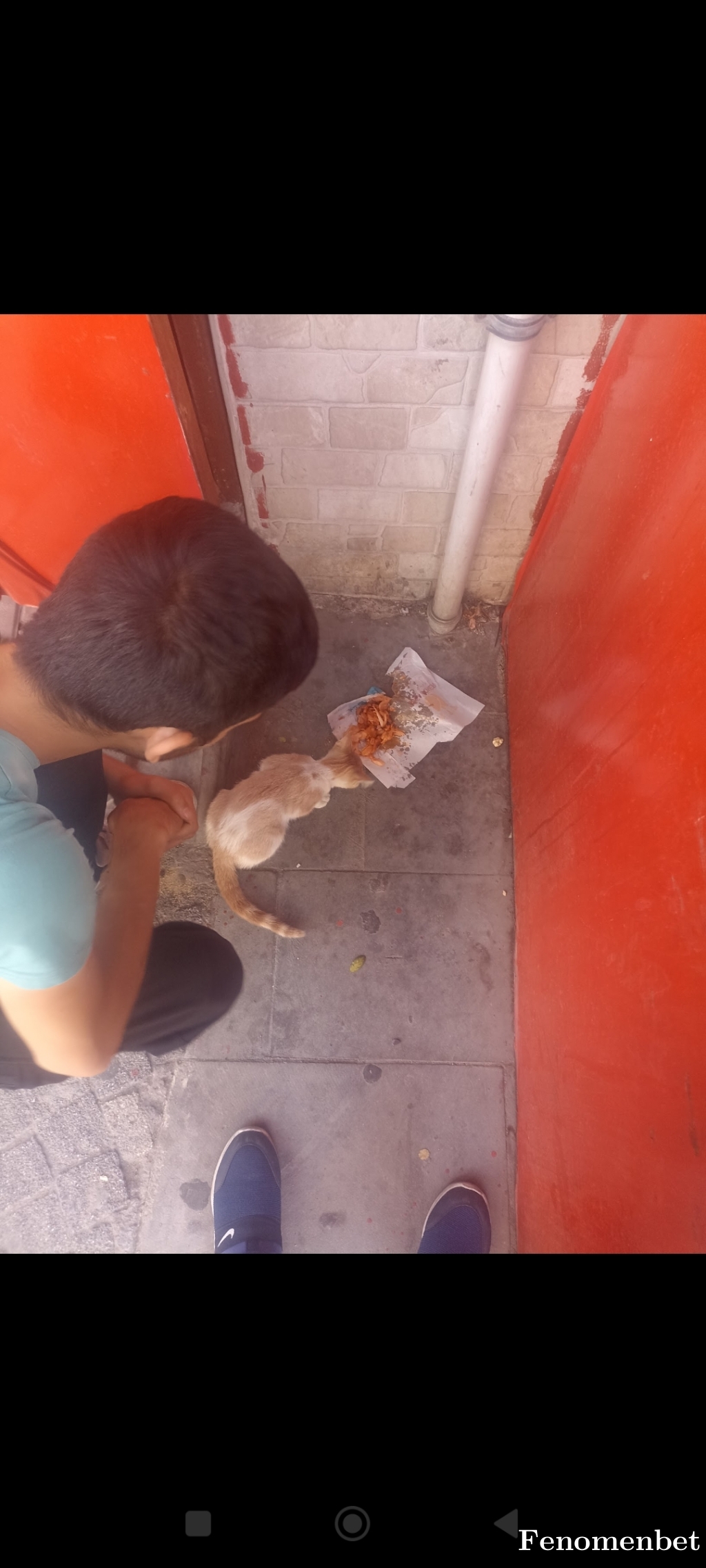 Gulsahtrkmn97 tarafından paylaşıldı