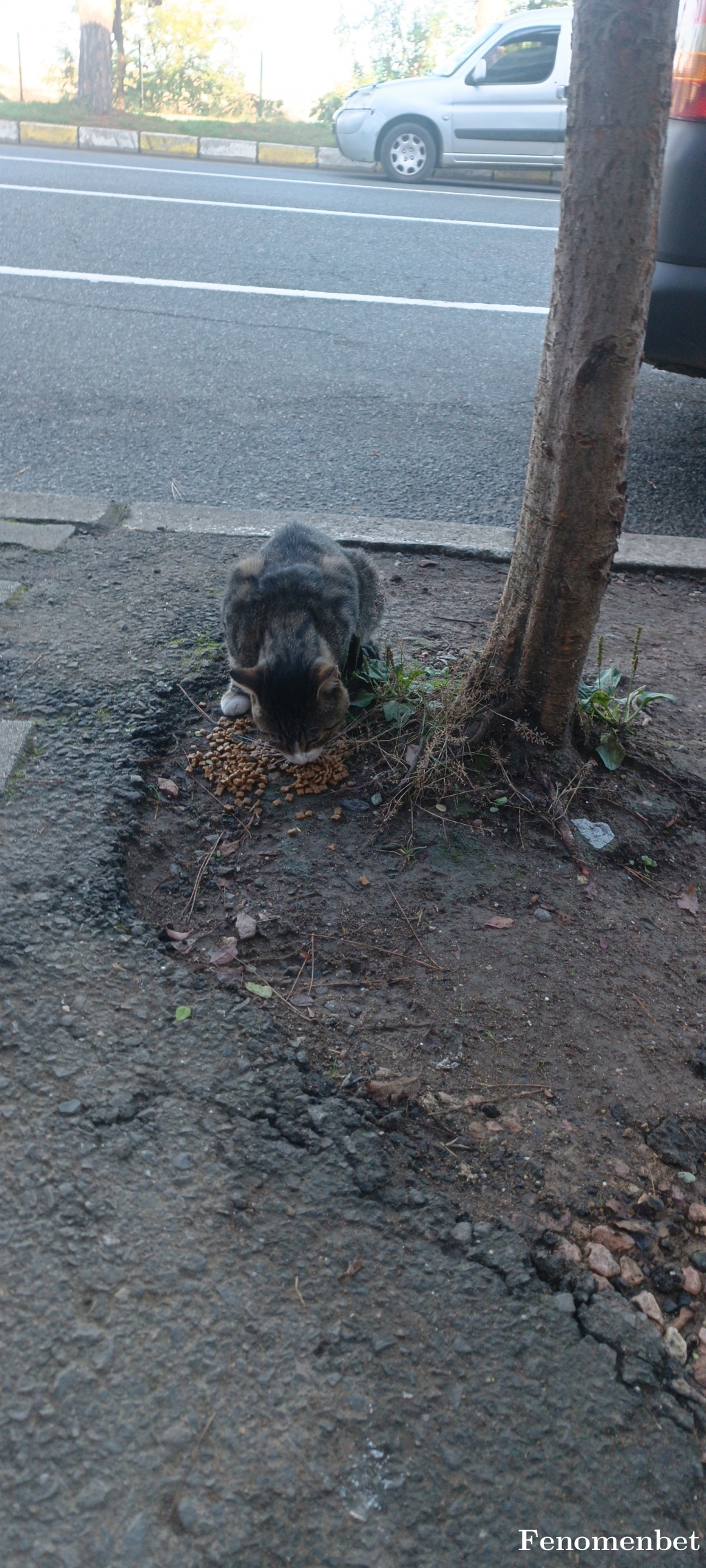 oakkan tarafından paylaşıldı