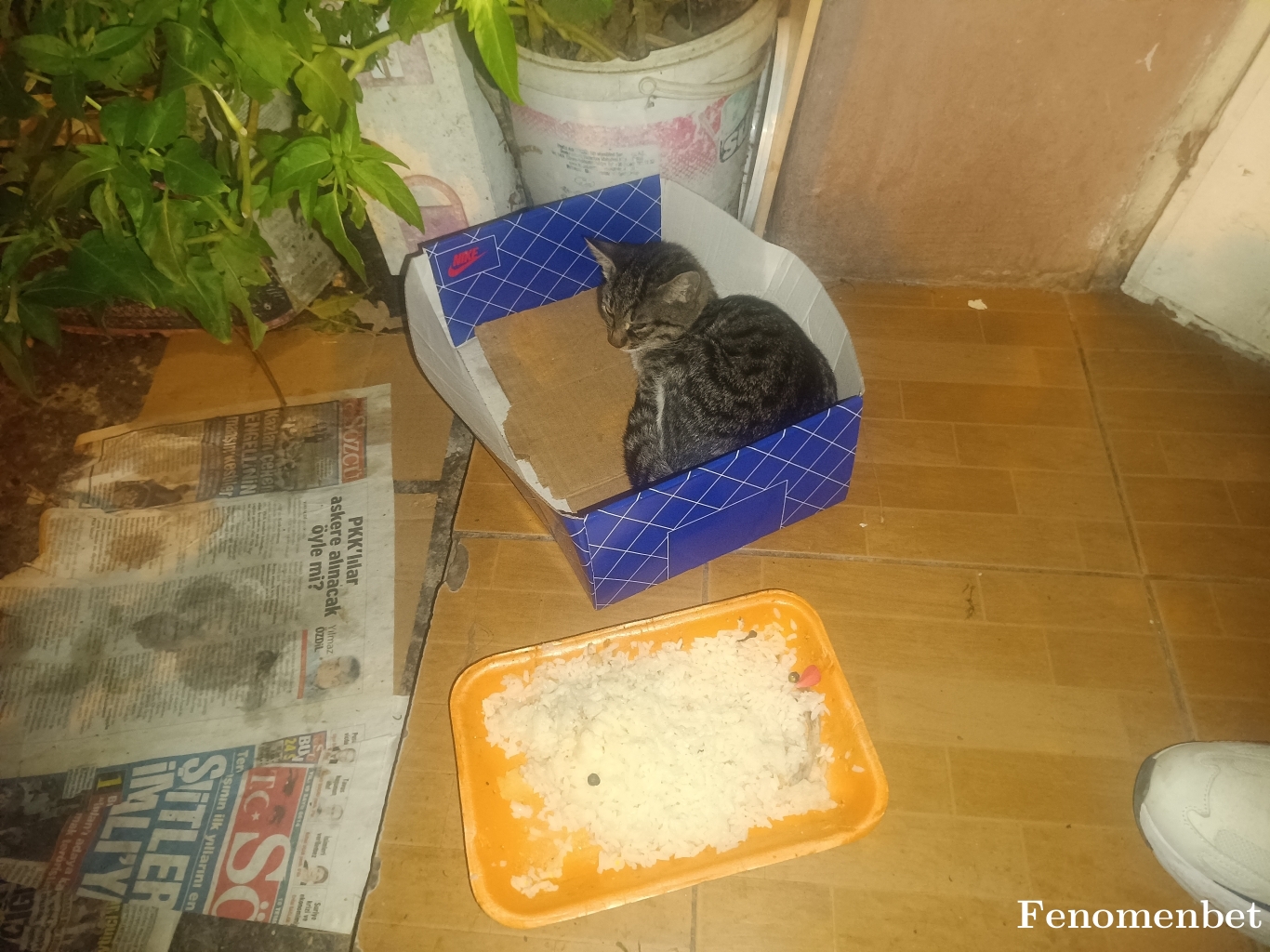 Renocu16  tarafından paylaşıldı