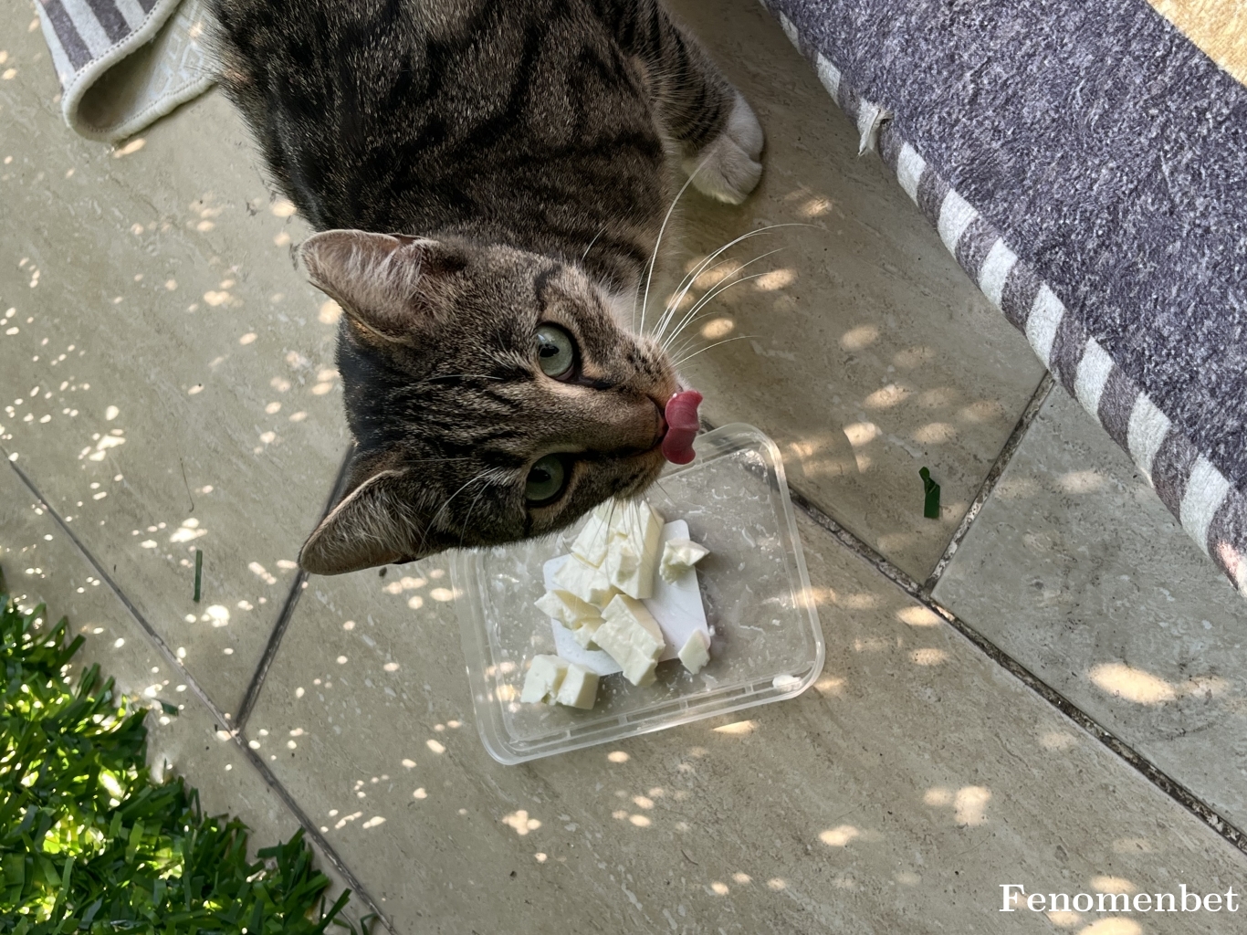 omerdavid tarafından paylaşıldı