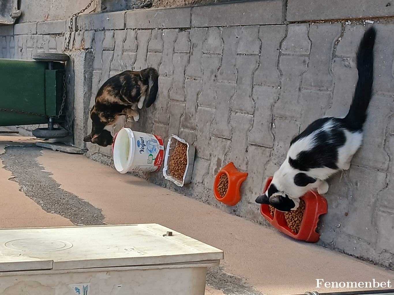 Umutclkvrms tarafından paylaşıldı