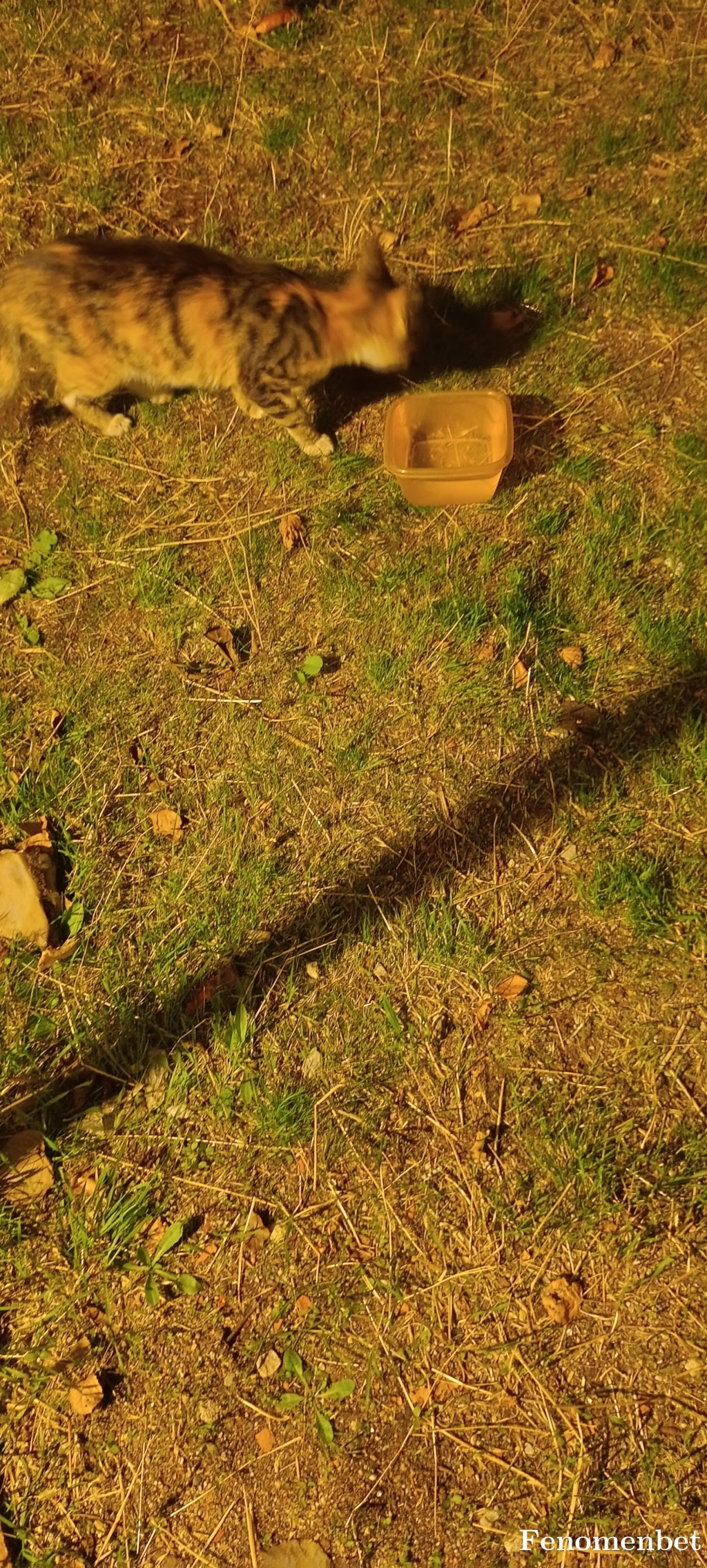 ersin40 tarafından paylaşıldı