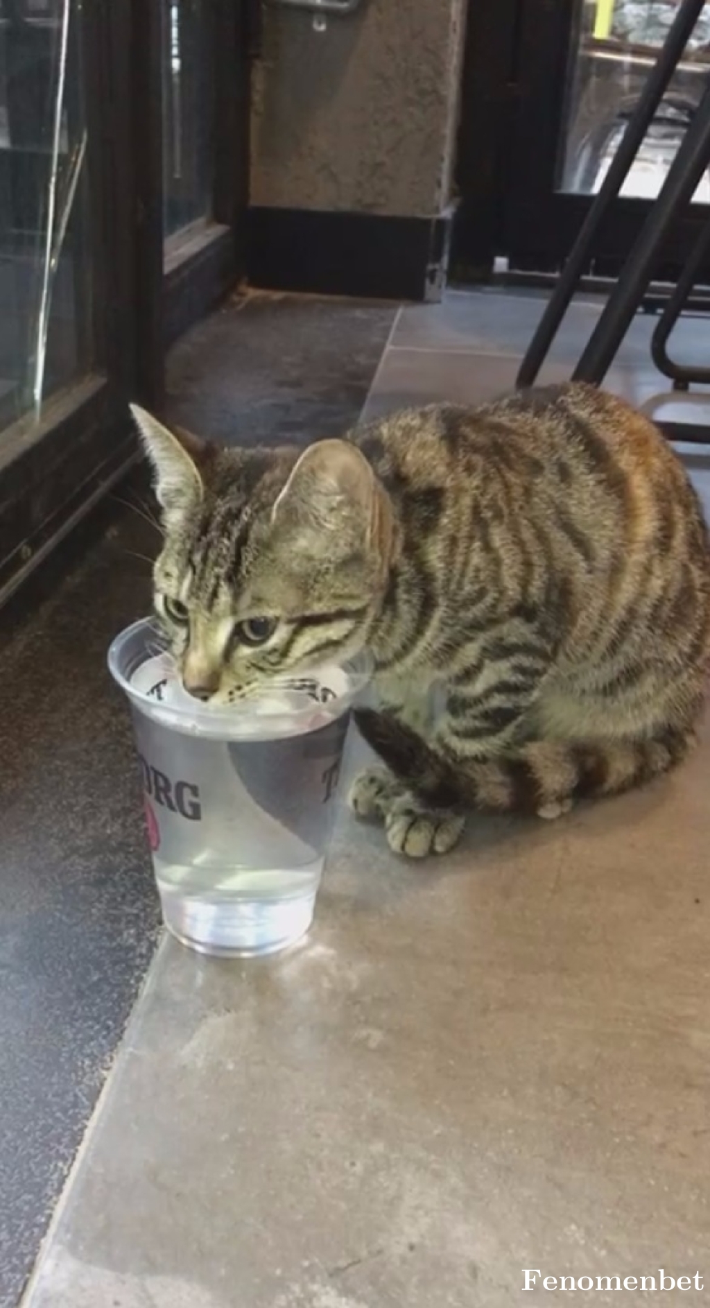 theatrols tarafından paylaşıldı