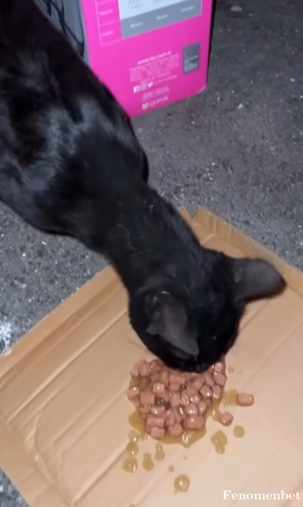 Nesrincim tarafından paylaşıldı