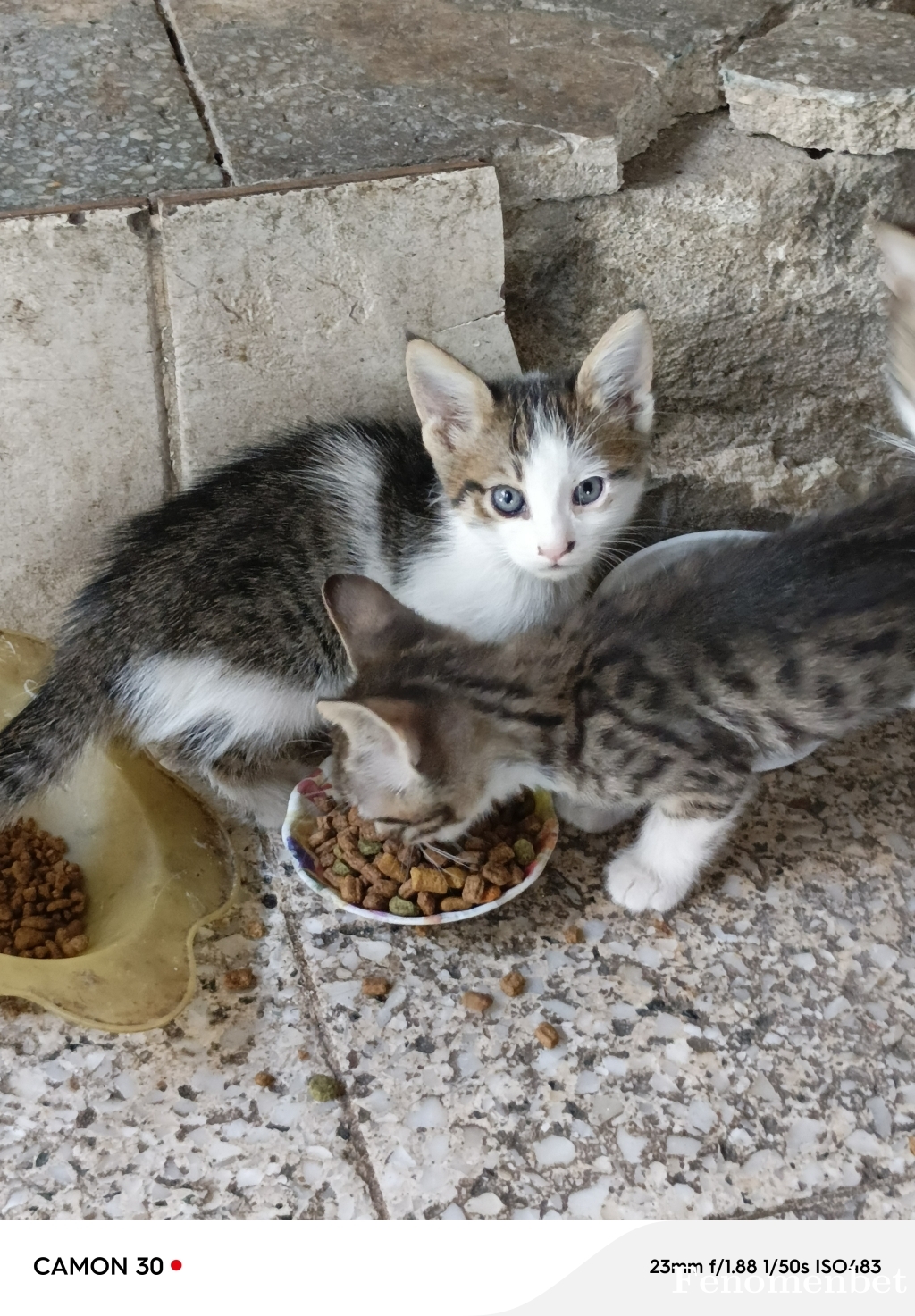 Bjk4545 tarafından paylaşıldı