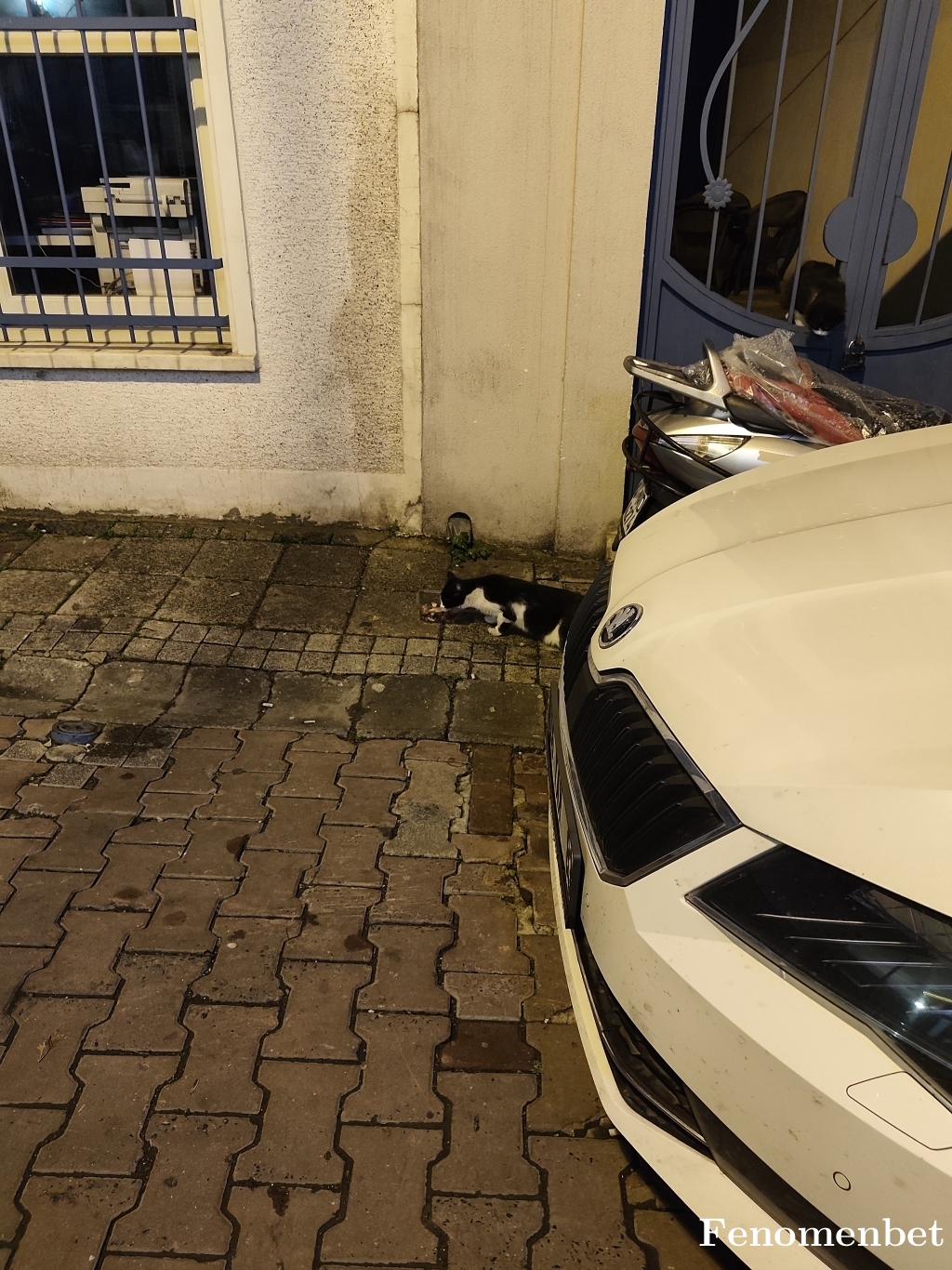 Gulya85 tarafından paylaşıldı