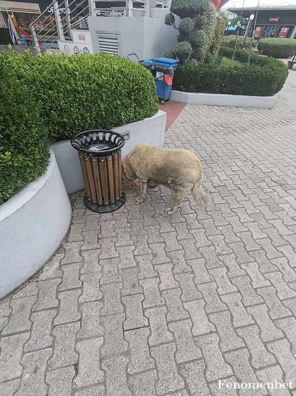 Cookman tarafından paylaşıldı