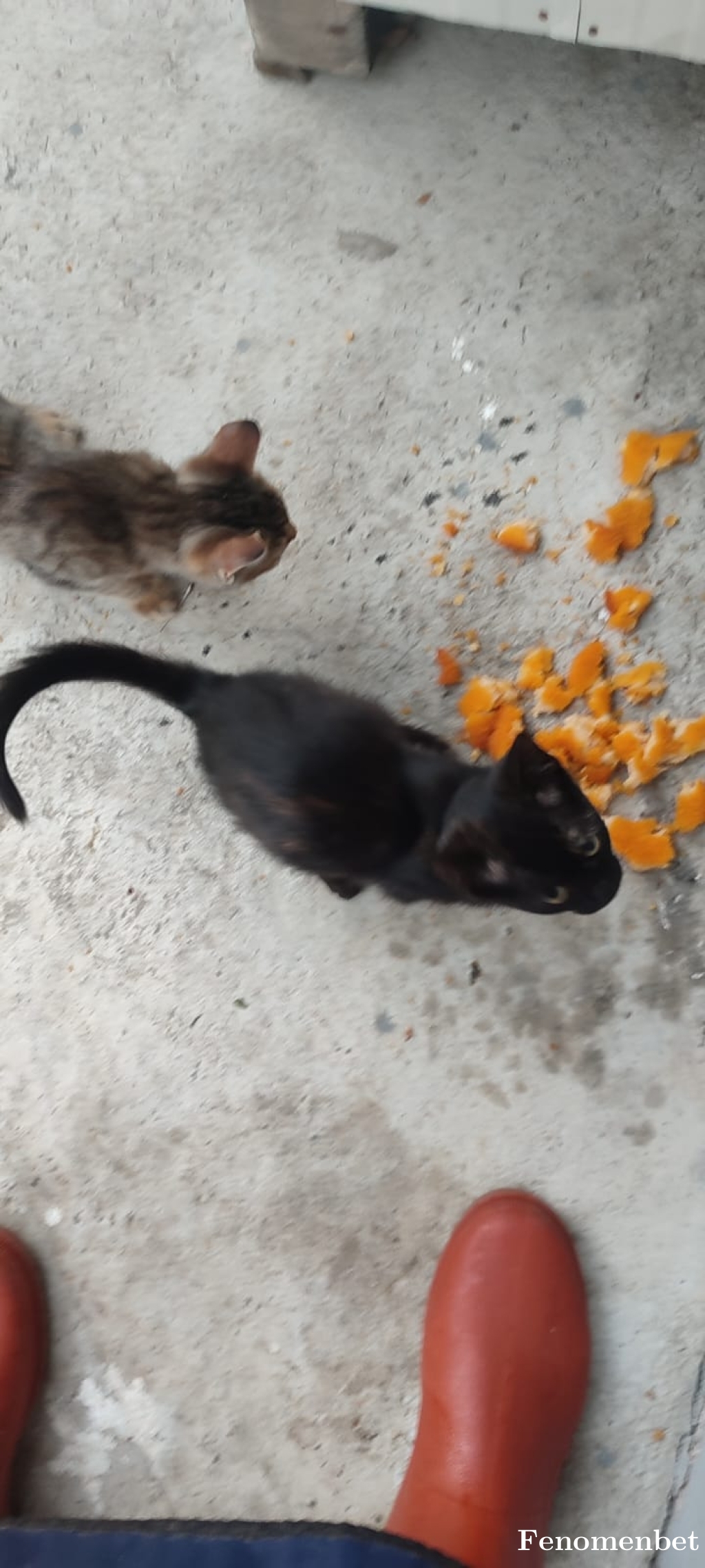 Murattarumm  tarafından paylaşıldı