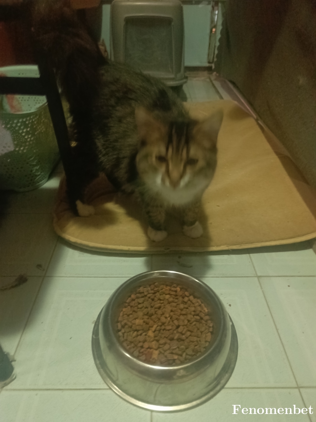 Cem121 tarafından paylaşıldı