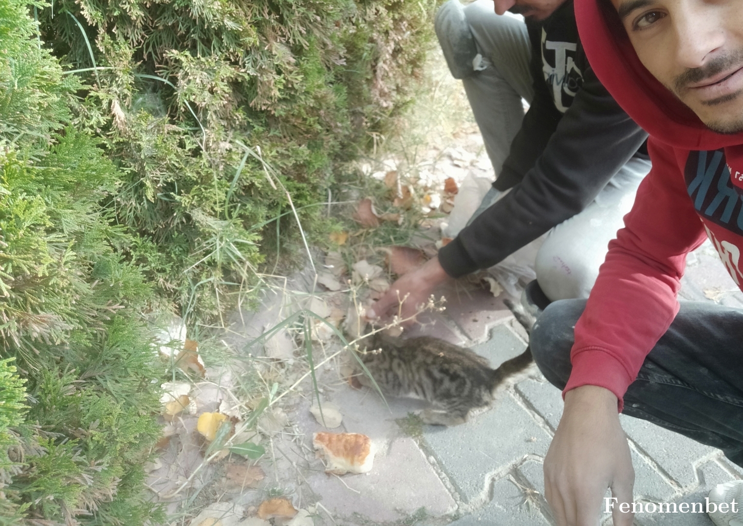 Muptezel51 tarafından paylaşıldı