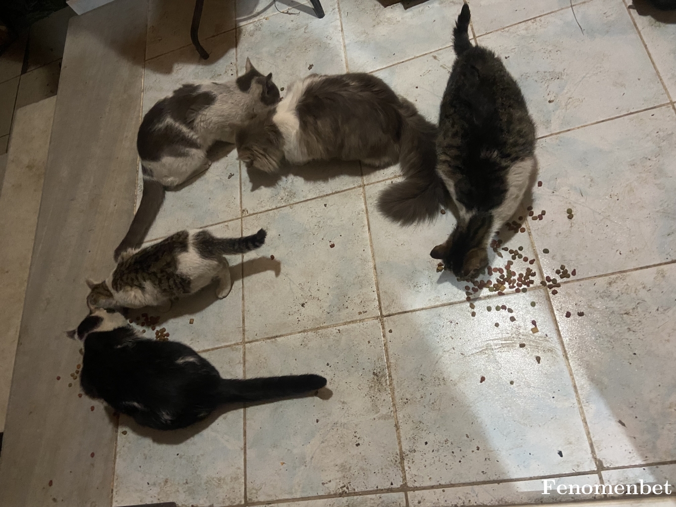 baki112233 tarafından paylaşıldı