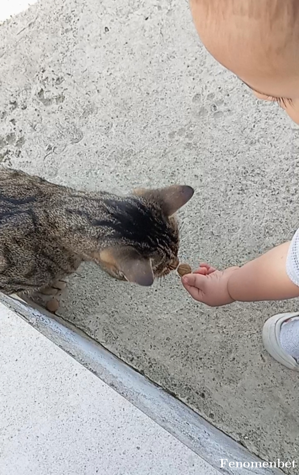 Aayaz999 tarafından paylaşıldı