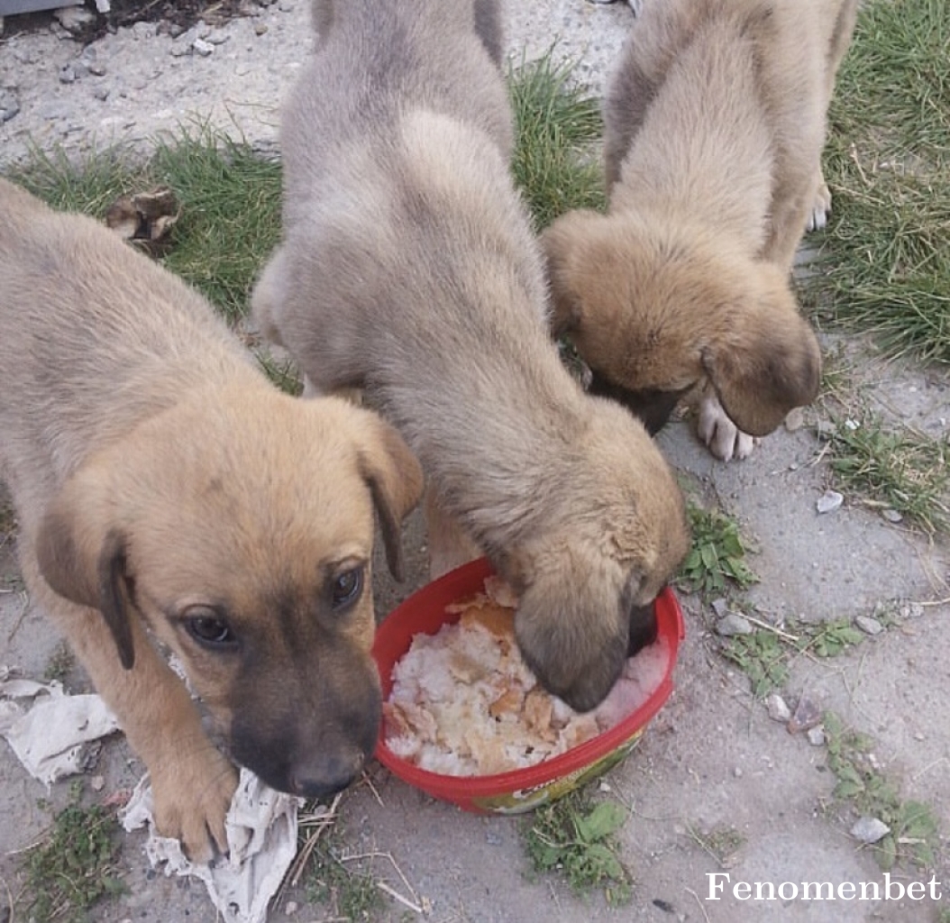 Yehhooo tarafından paylaşıldı