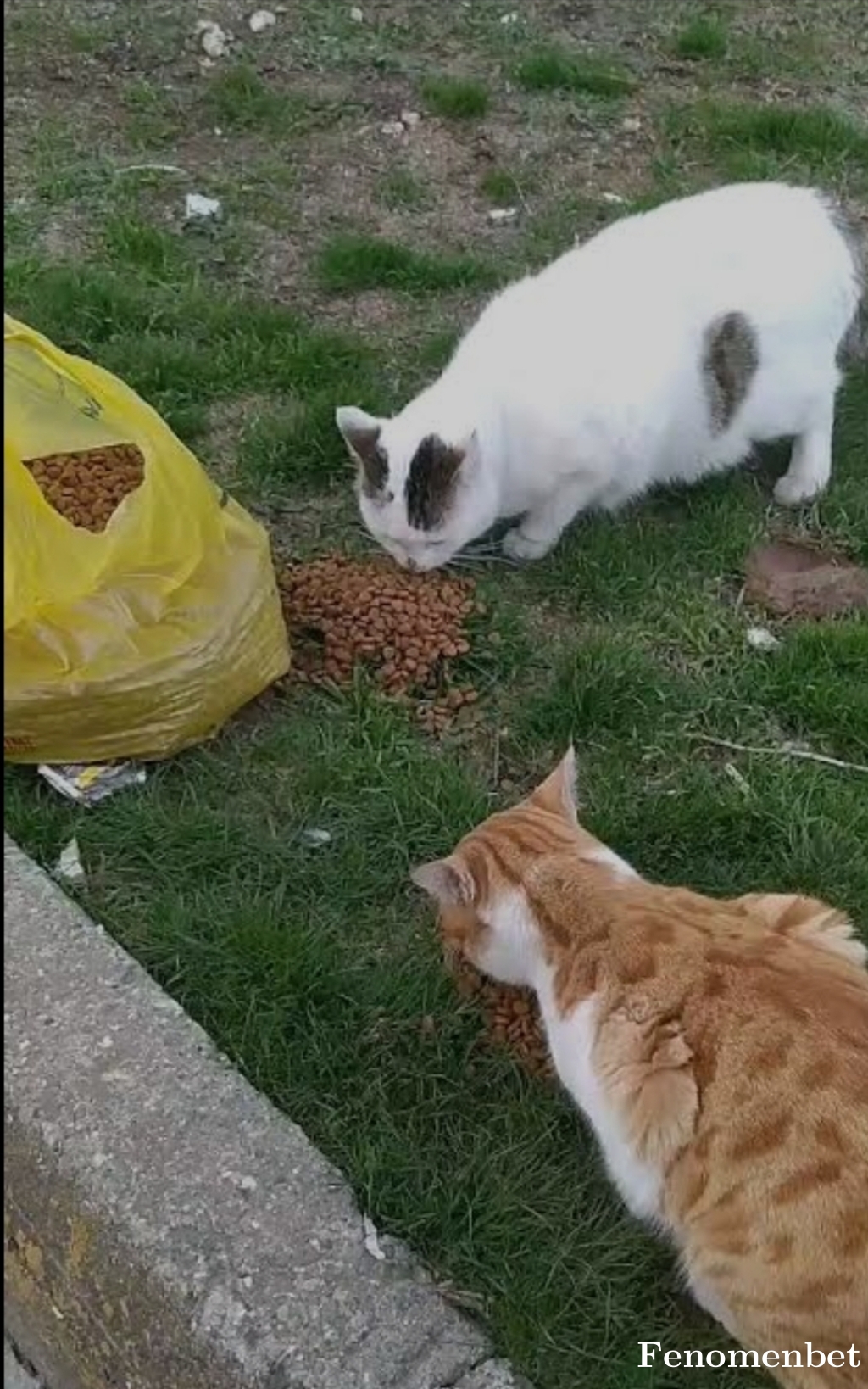 Hhkondu tarafından paylaşıldı