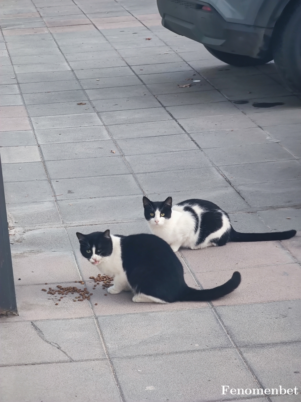 Oktydnmz tarafından paylaşıldı