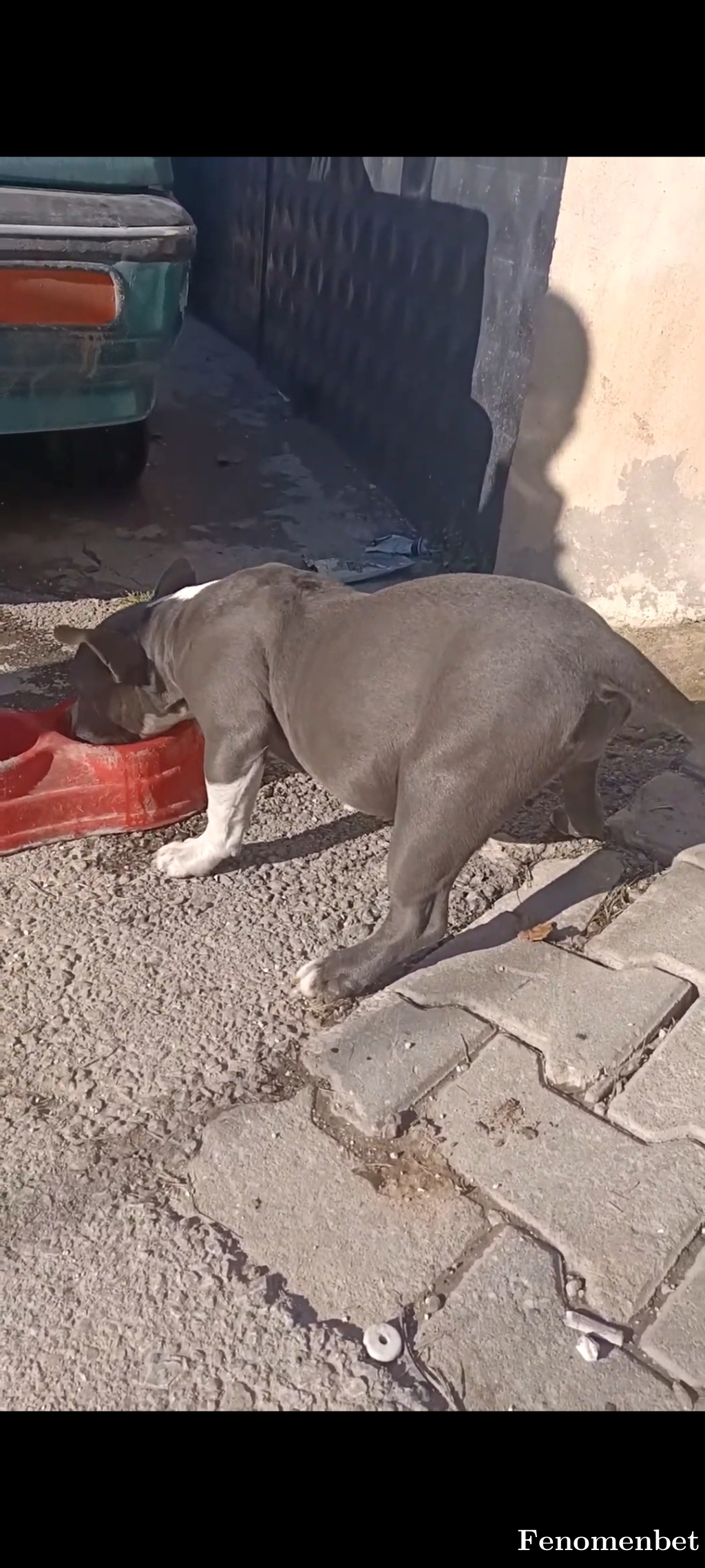 Servet2771  tarafından paylaşıldı