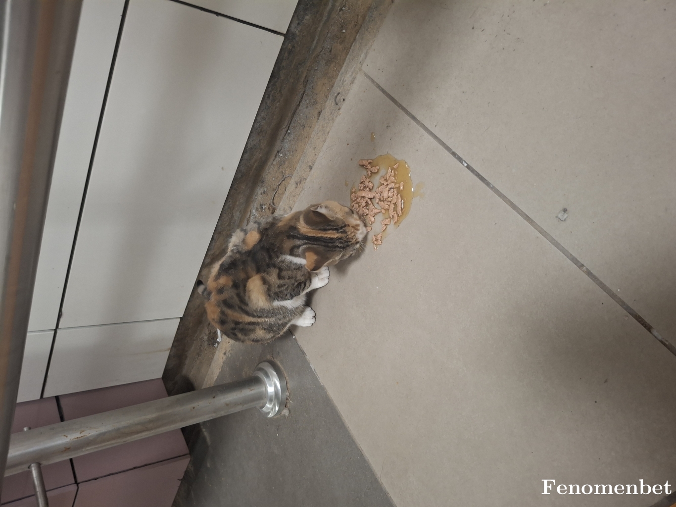 jackton11 tarafından paylaşıldı