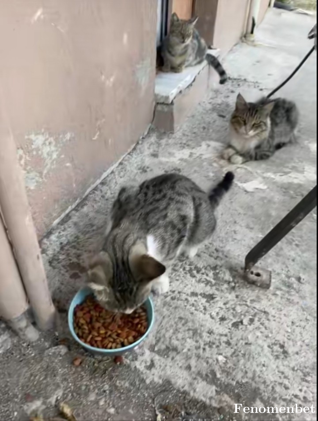 Mert6788 tarafından paylaşıldı