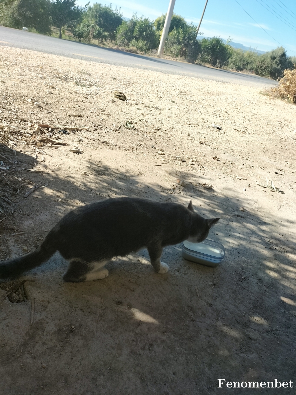 Milena_33 tarafından paylaşıldı