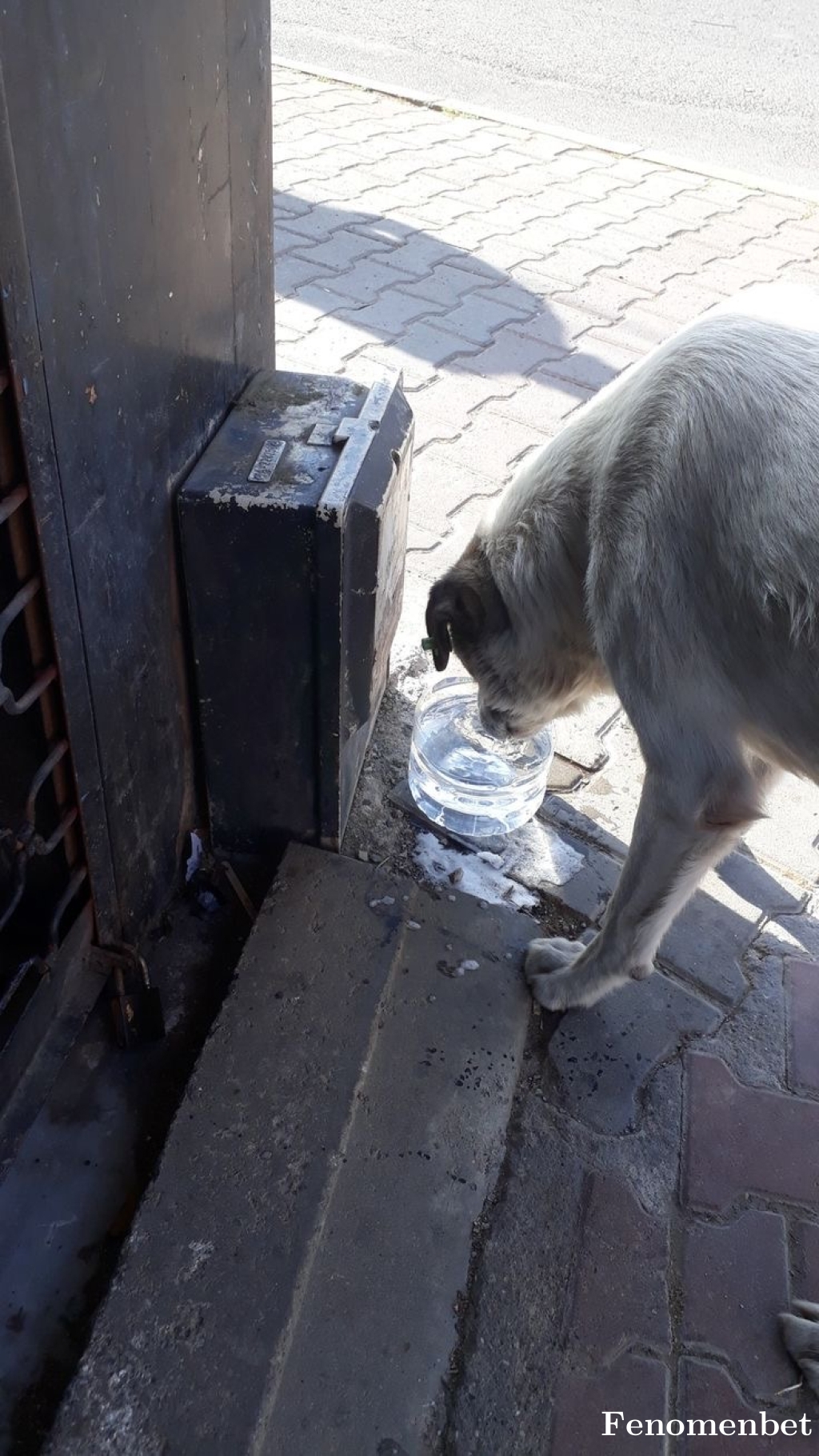 Esraa07 tarafından paylaşıldı