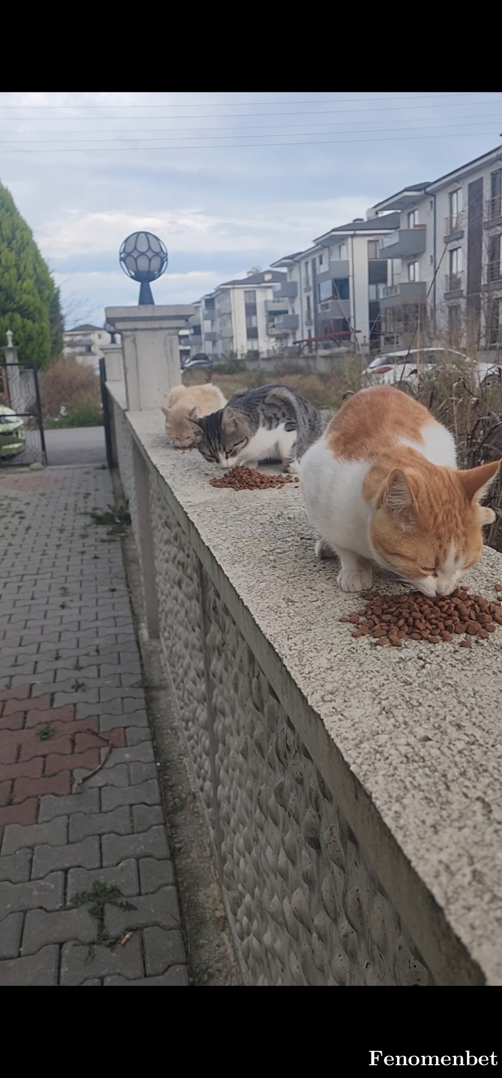 Murat2121 tarafından paylaşıldı