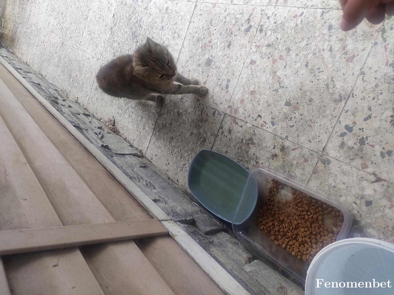 poyrazbeyi tarafından paylaşıldı