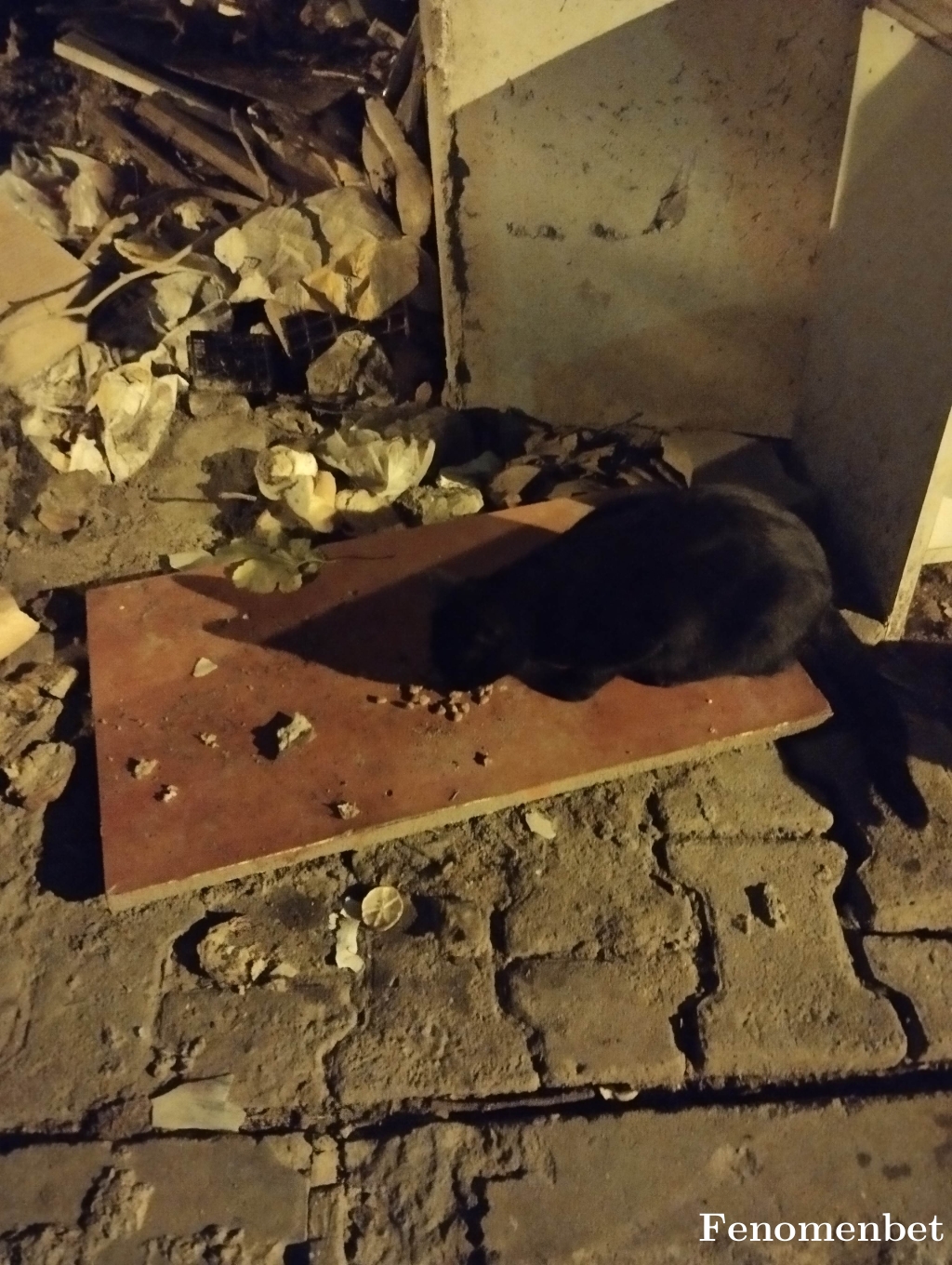 cengizfb1989 tarafından paylaşıldı