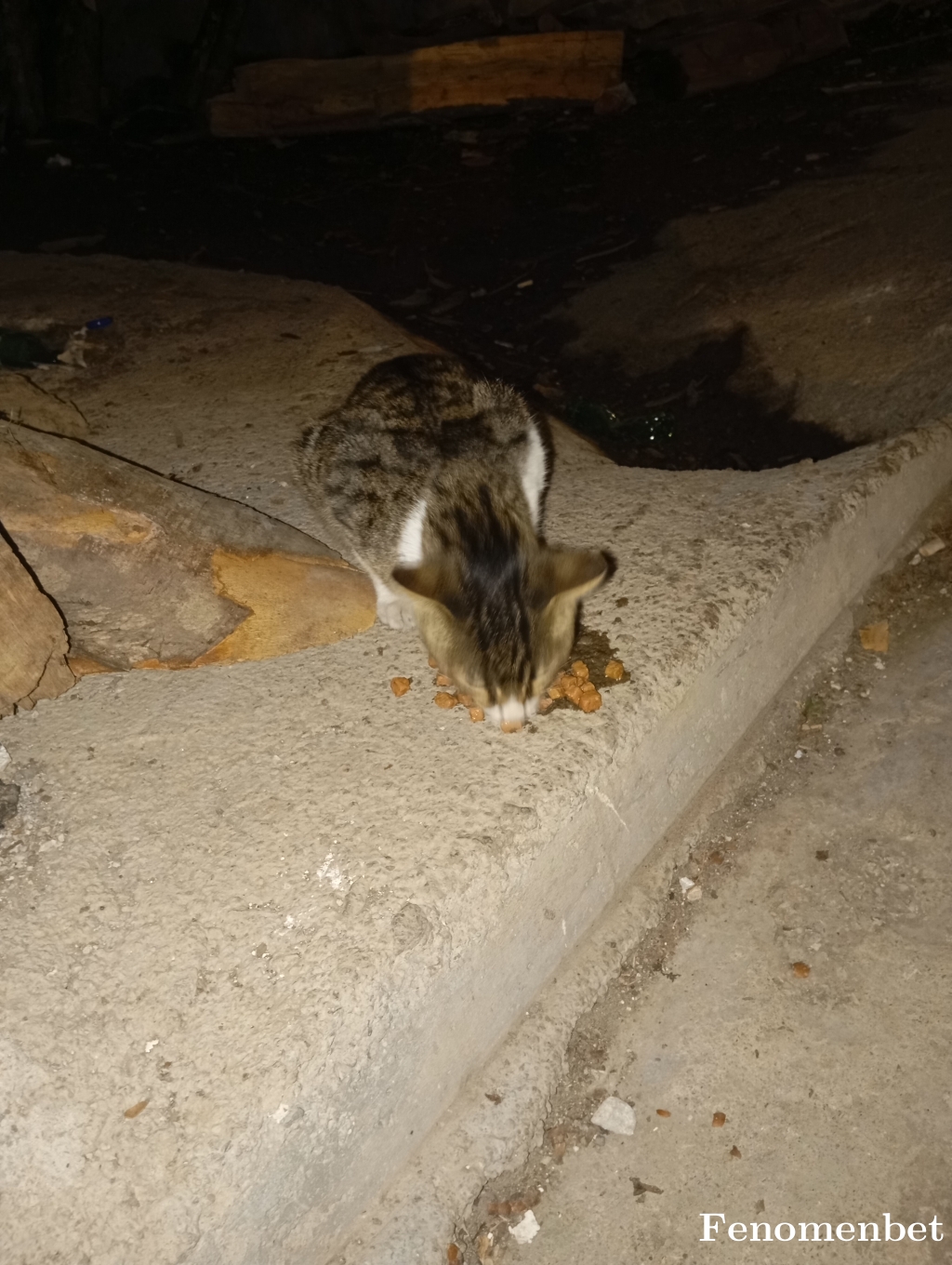 Nurgulckr11 tarafından paylaşıldı