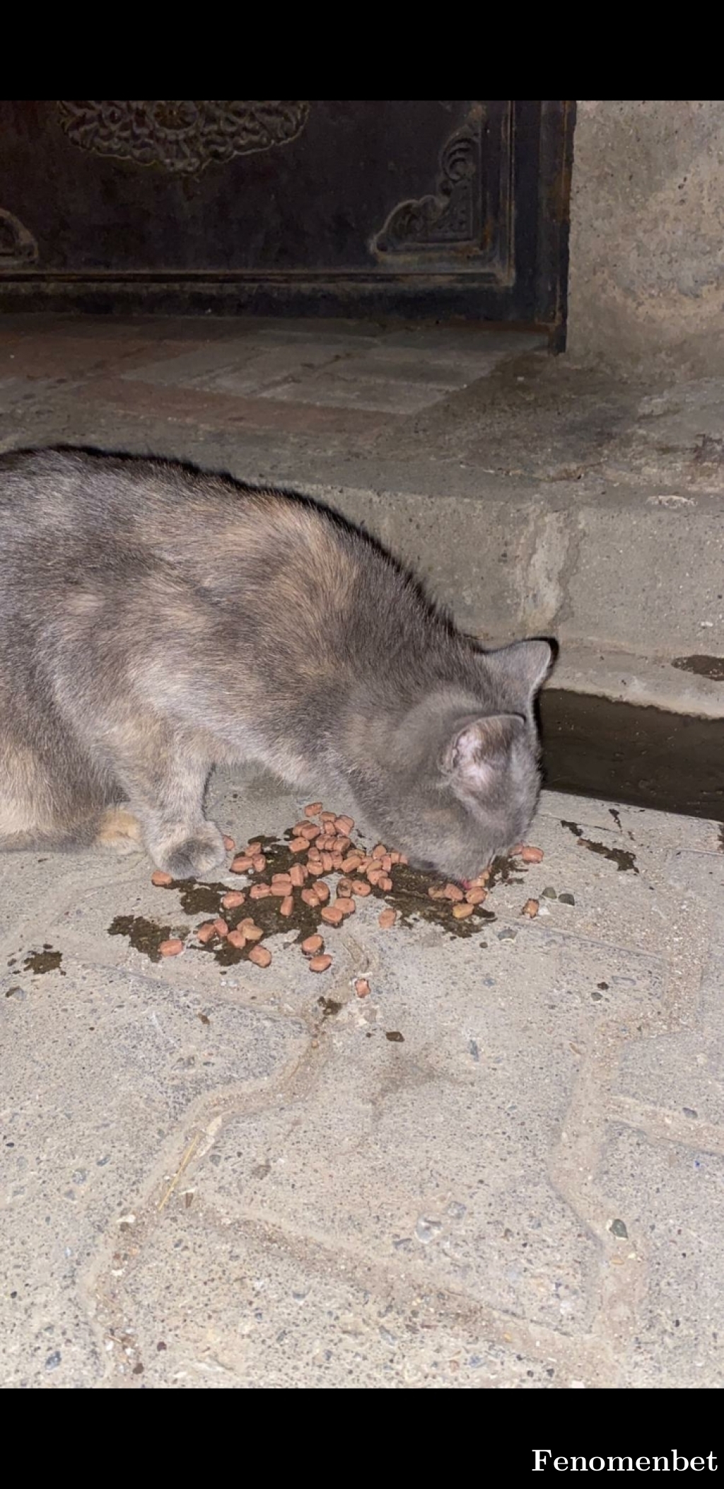 Kantinonur tarafından paylaşıldı